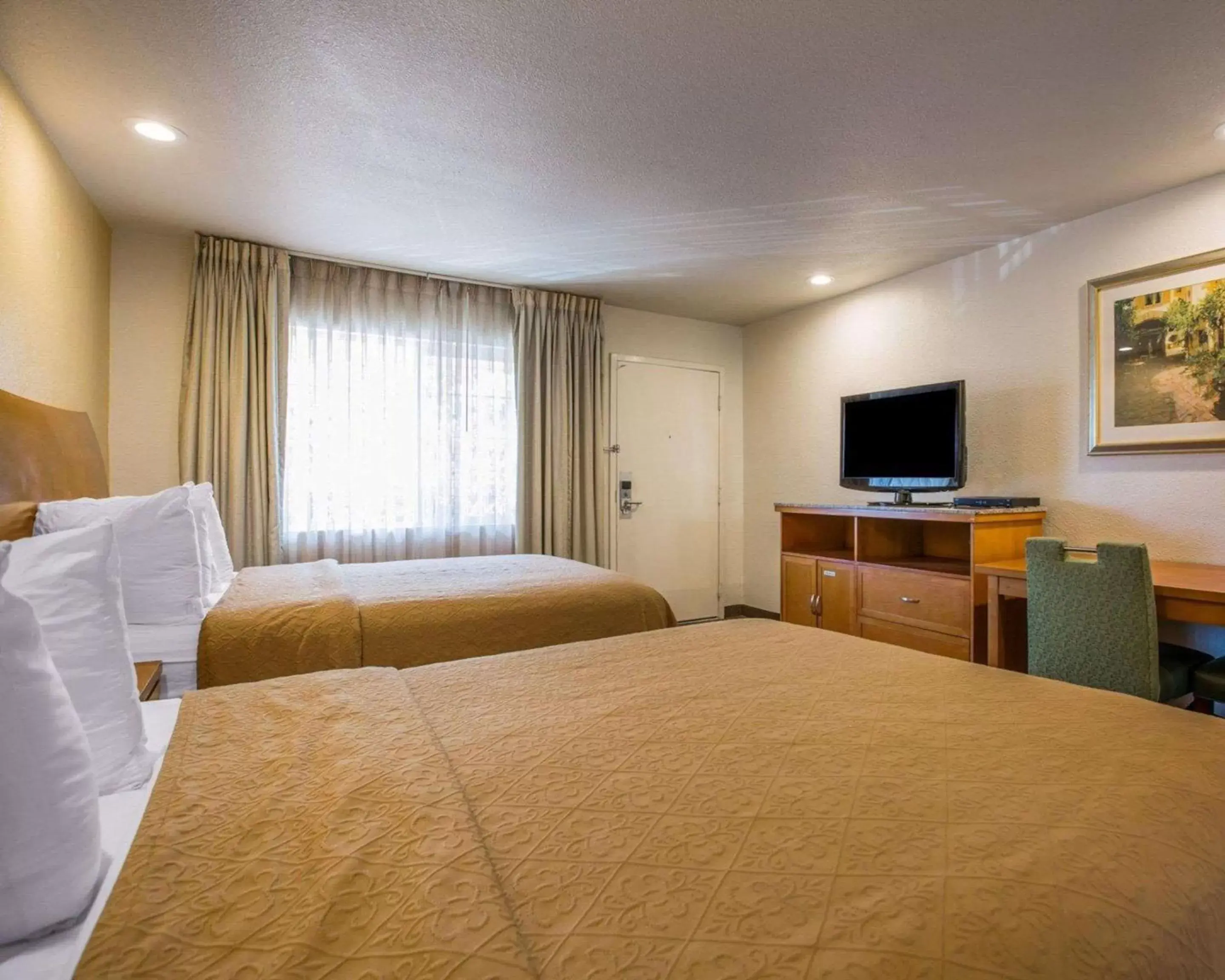 Photo of the whole room, Bed in Quality Inn Santa Cruz