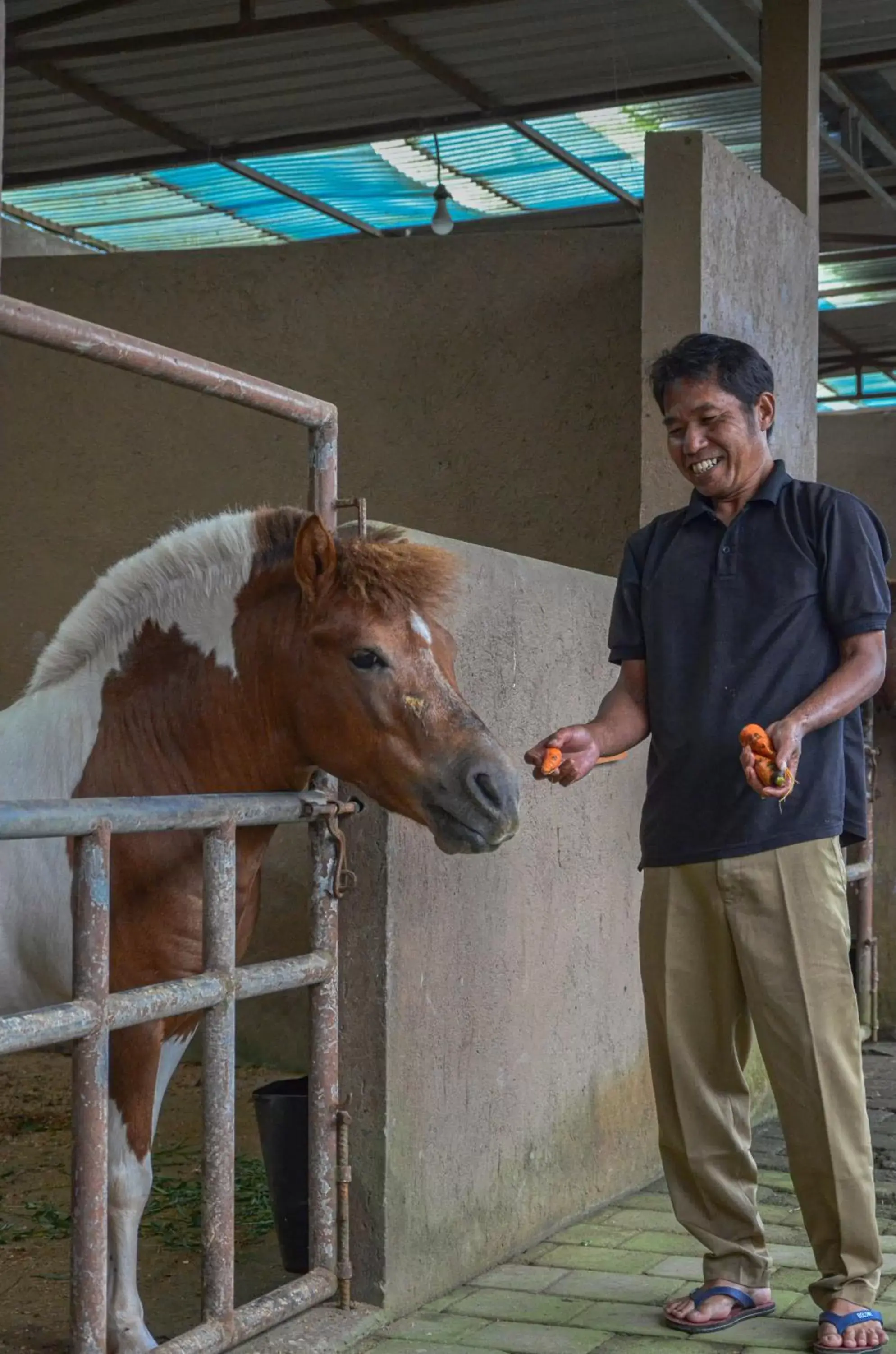 Other Animals in Munduk Moding Plantation Nature Resort & Spa