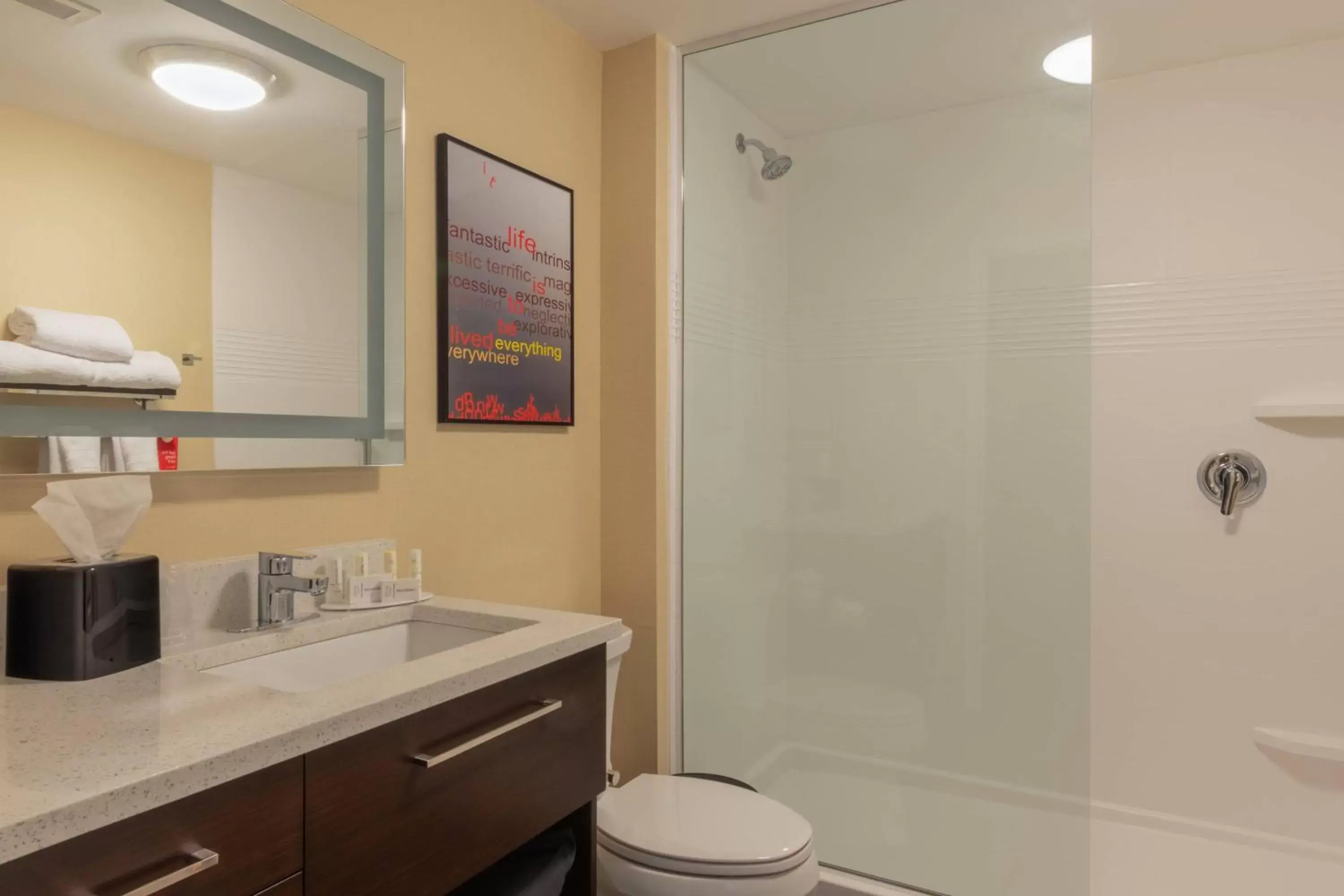 Bathroom in TownePlace Suites by Marriott Syracuse Clay
