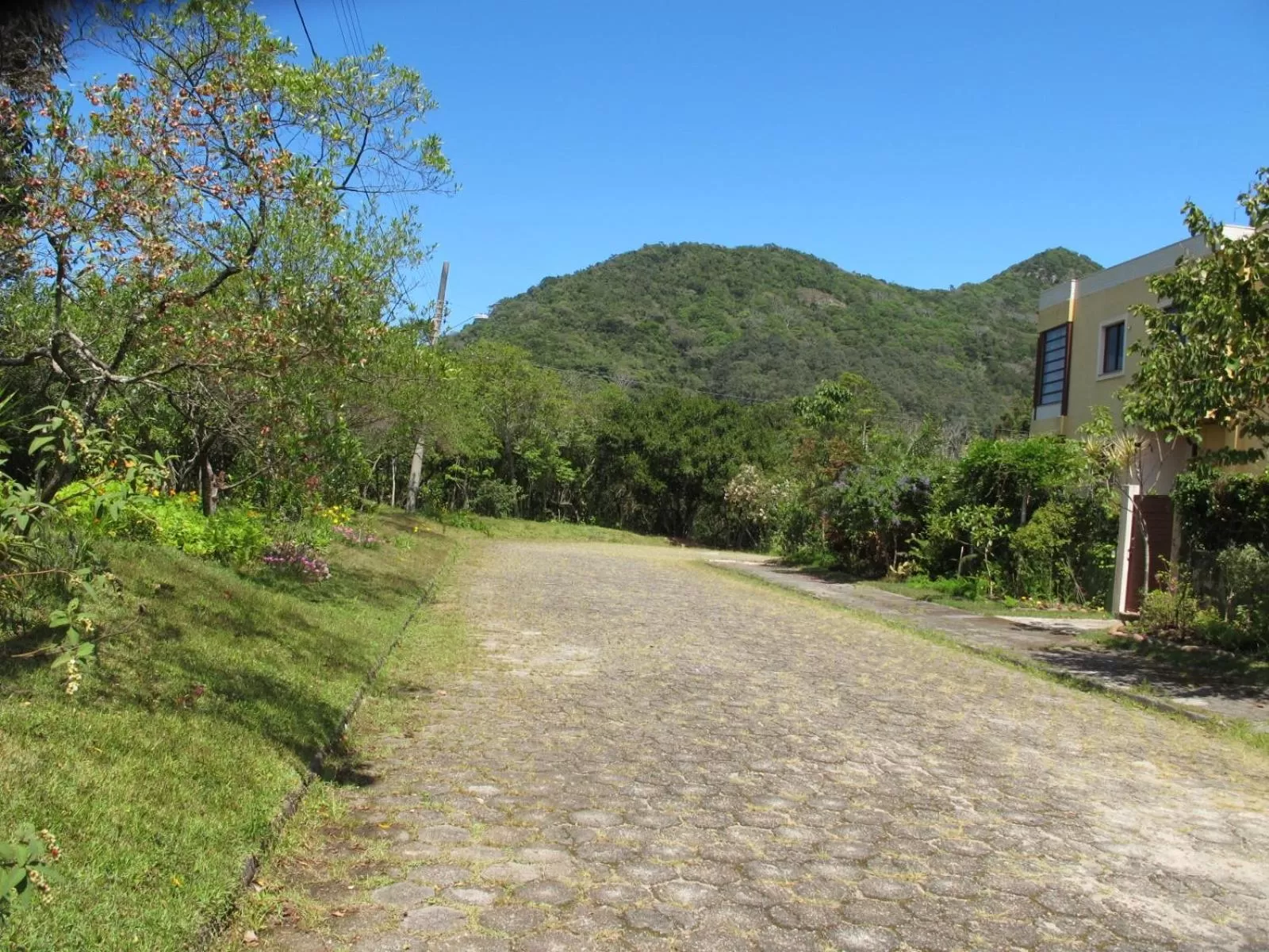 Quiet street view in Casa dos Açores Cama e Café