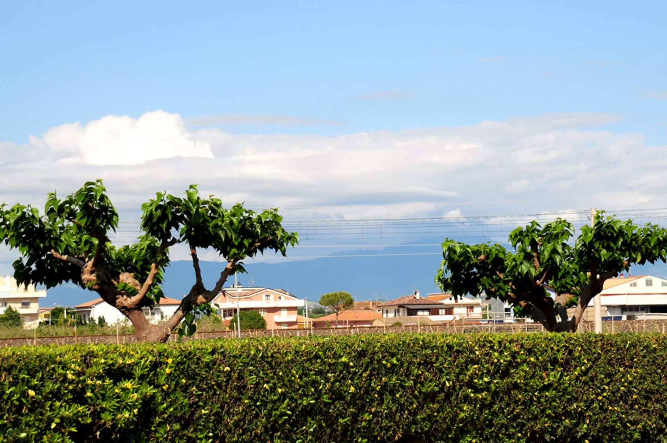 Mountain view in Agriturismo Frontemare