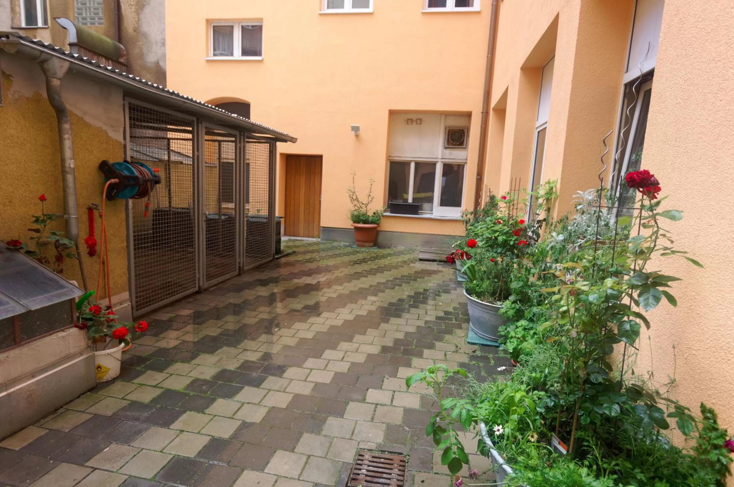 Patio in PrivatHotel Probst