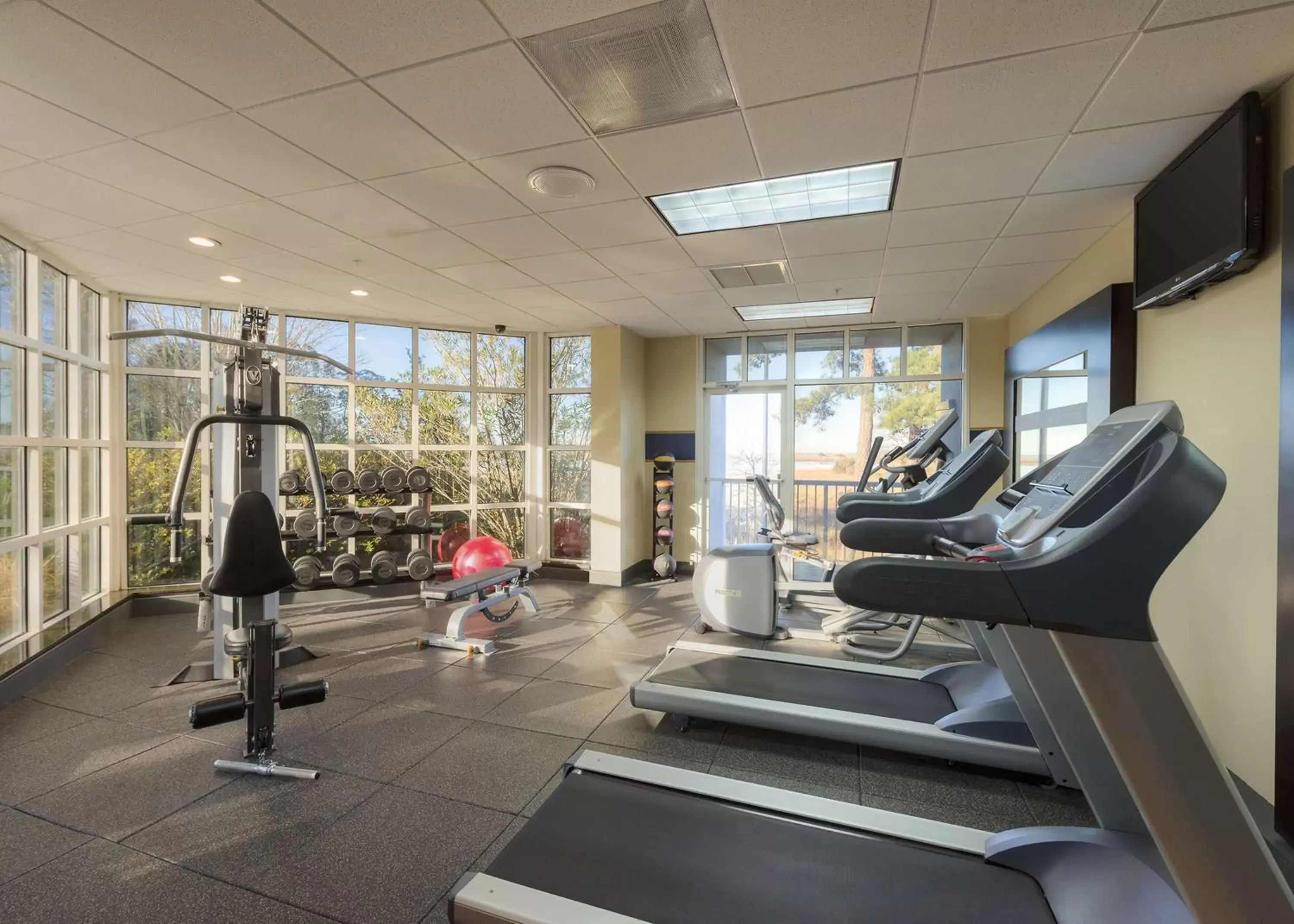 Fitness centre/facilities, Fitness Center/Facilities in Hampton Inn Mobile/East Bay