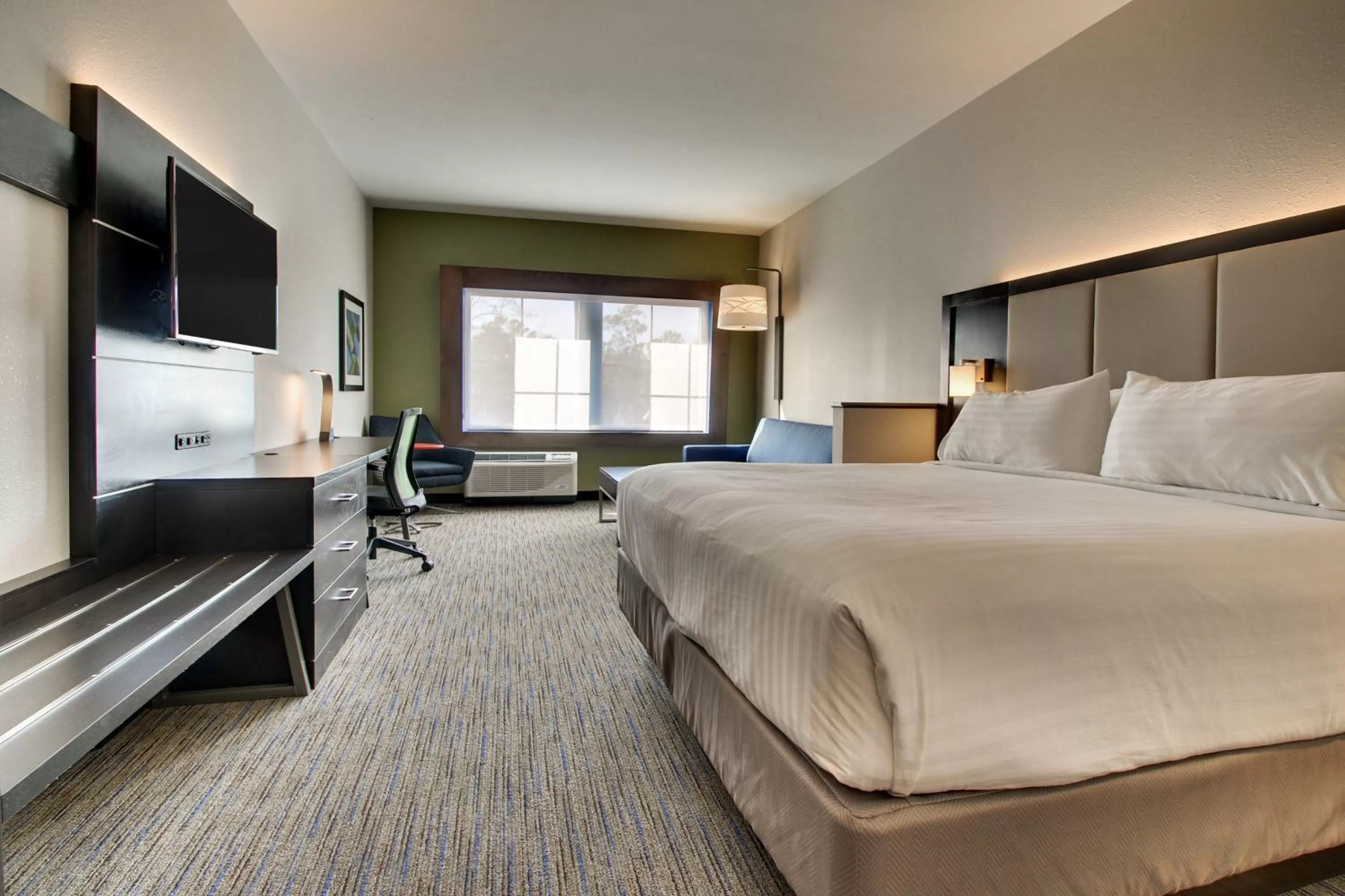 Photo of the whole room, Bed in Holiday Inn Express & Suites - Summerville by IHG