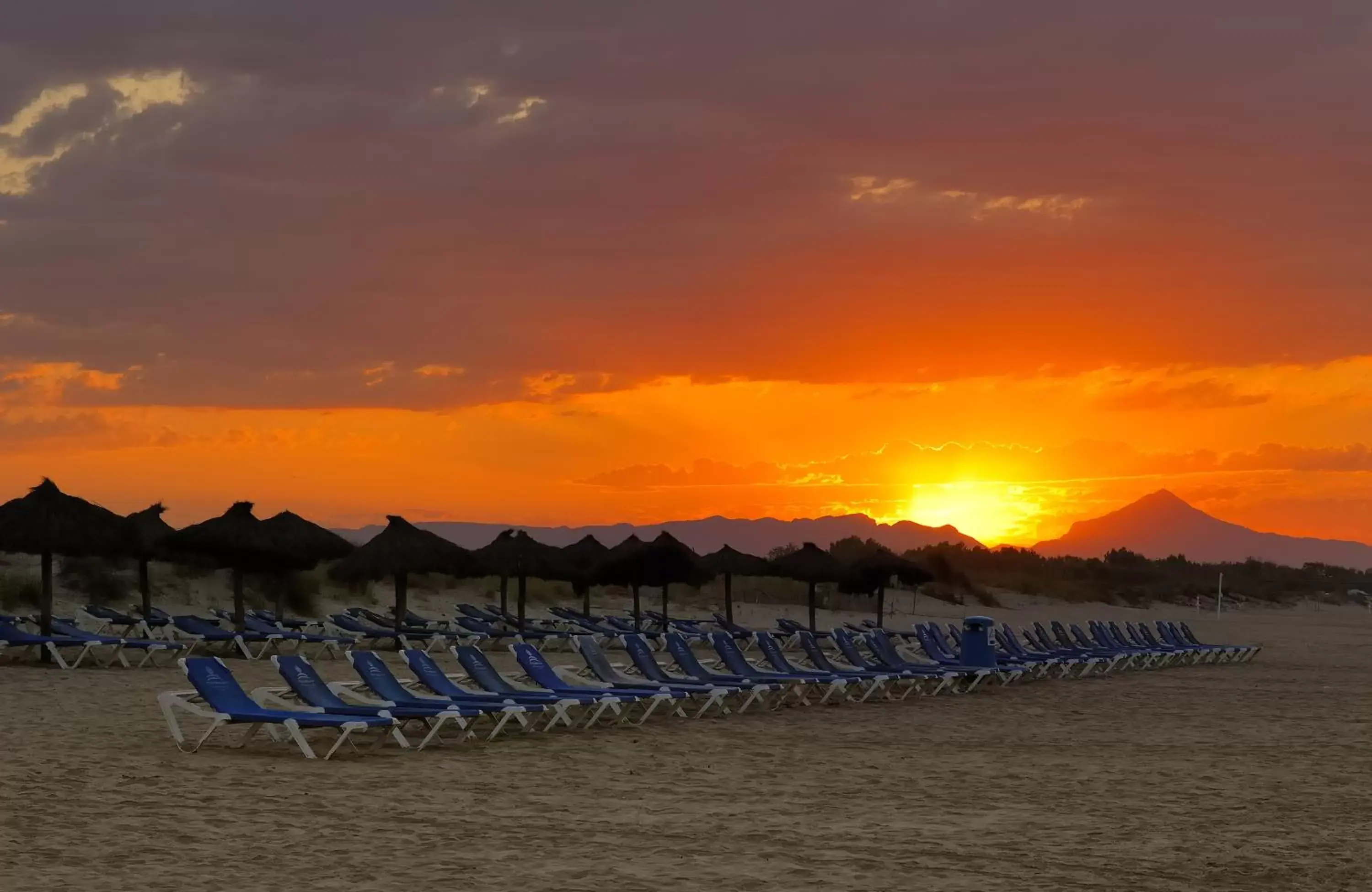 Beach in Oliva Nova Beach & Golf Hotel