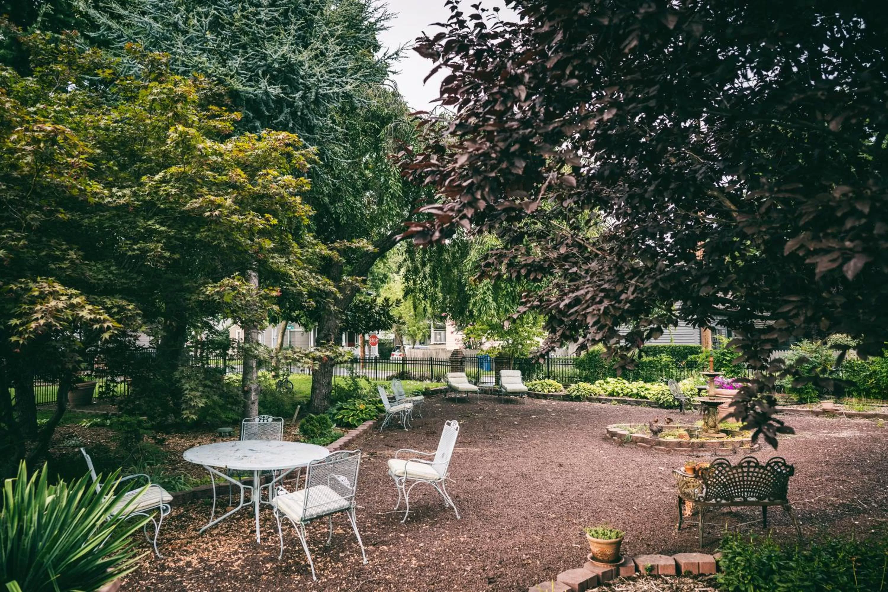 Garden in Hummingbird Inn