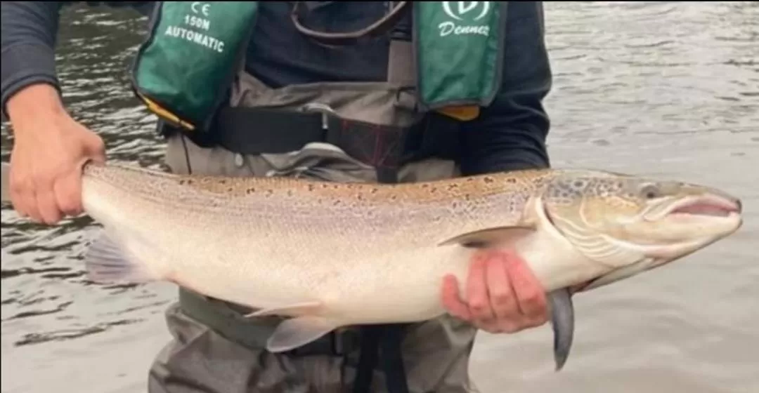 Cable Island Bed and Breakfast