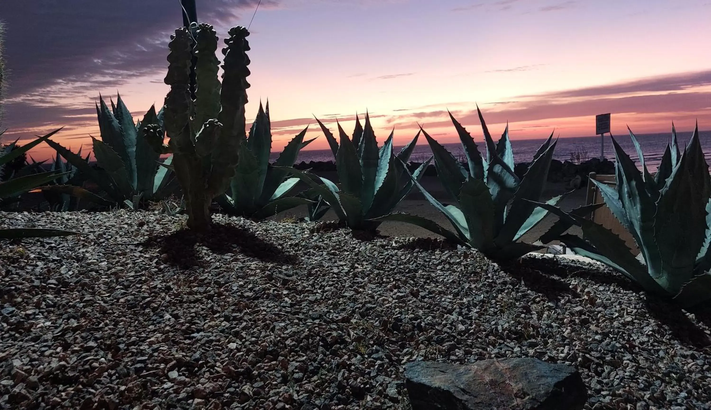 Garden, Beach in Peñasco del Sol Hotel