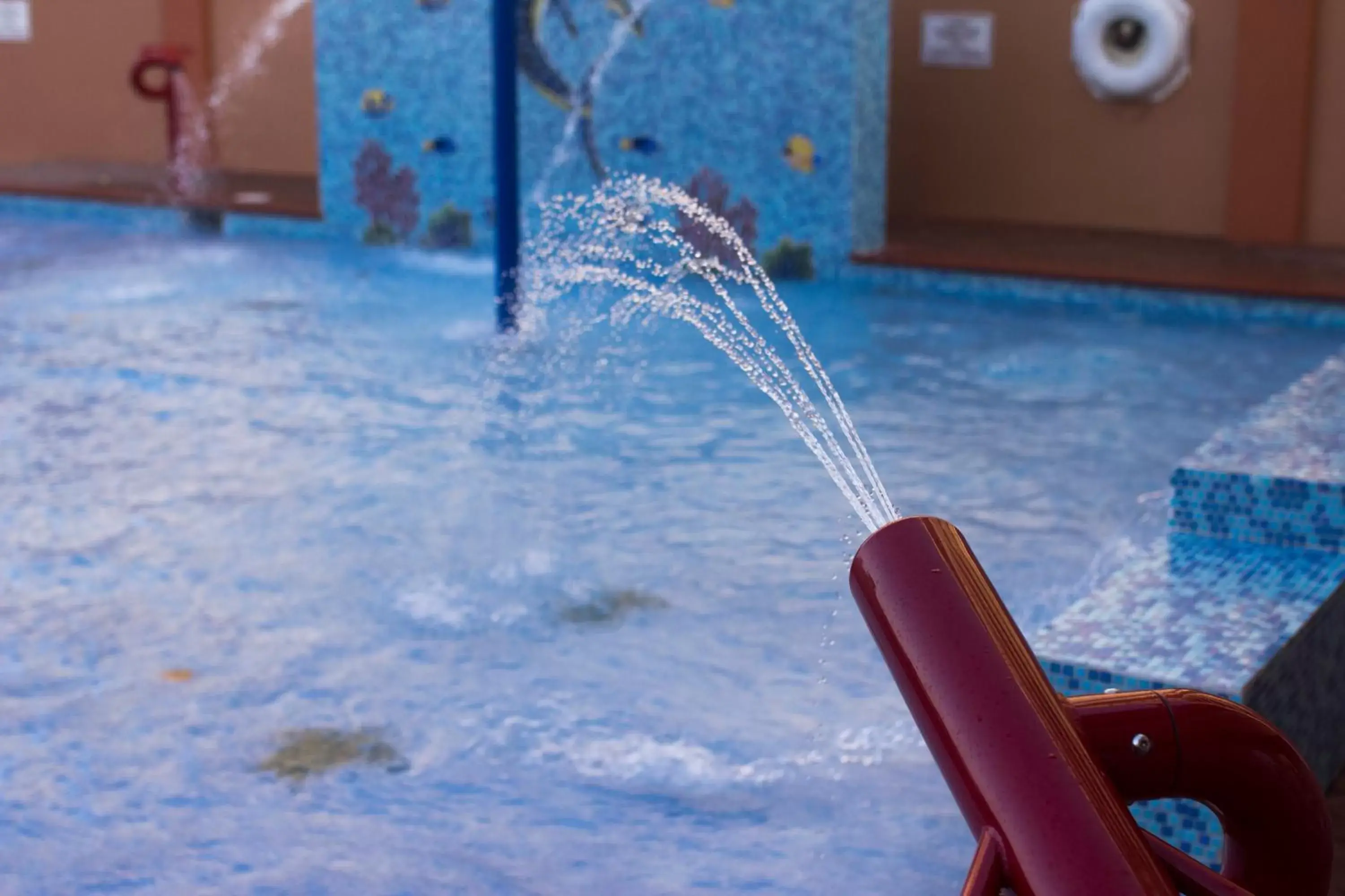 Swimming pool in La Copa Inn Beach Hotel Swimming pool in La Copa Inn Beach Hotel
