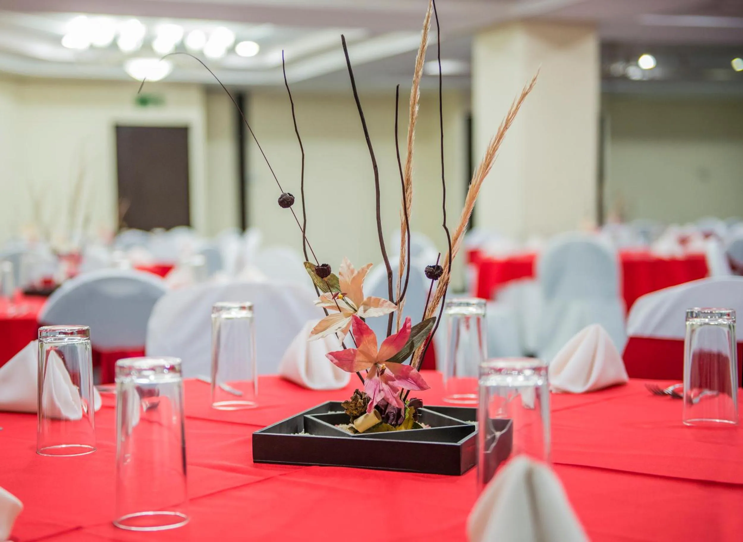 Banquet/Function facilities in Aranzazu Plaza Kristal Aguascalientes