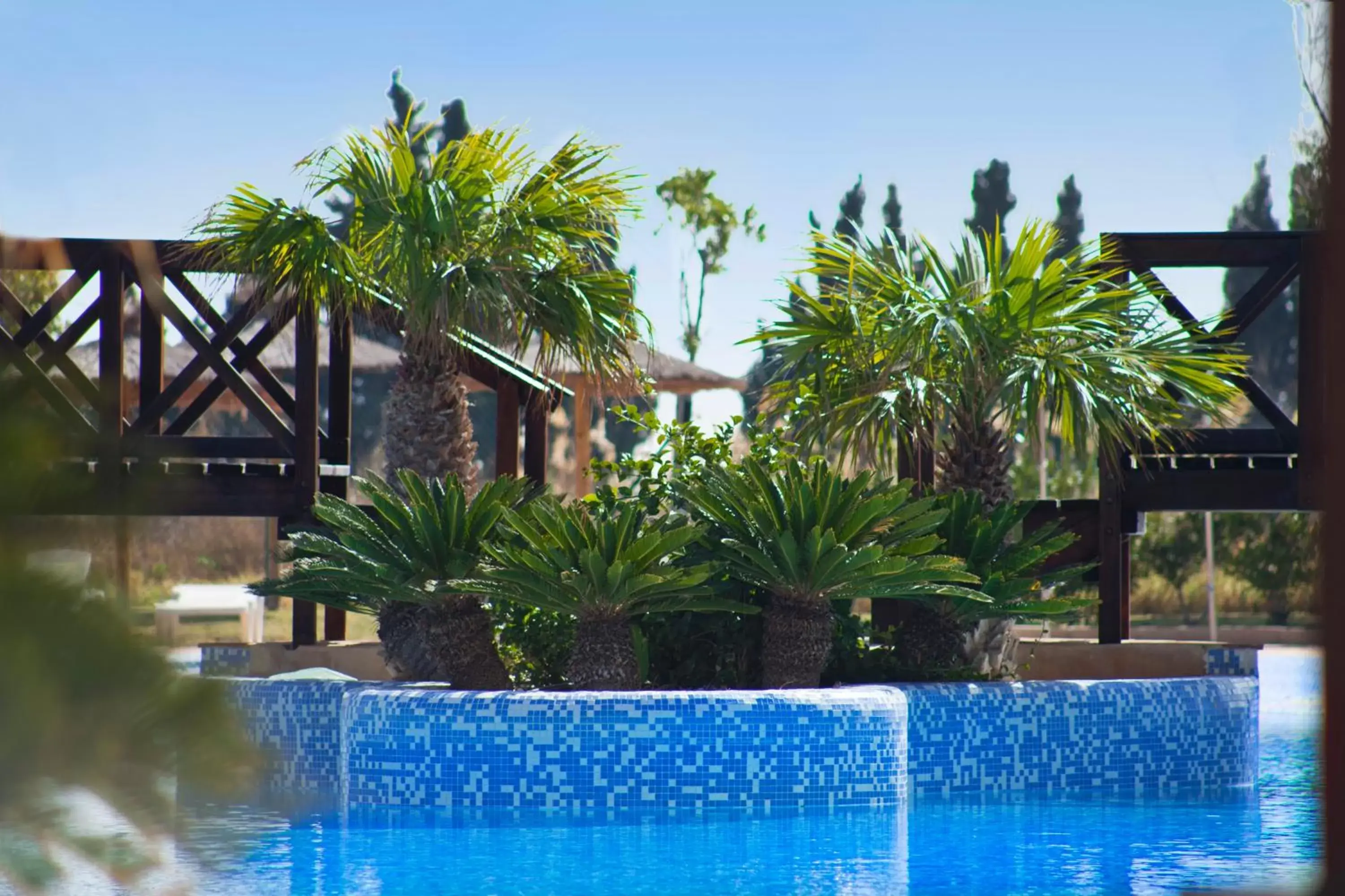 Swimming Pool in Hotel Bonalba Alicante
