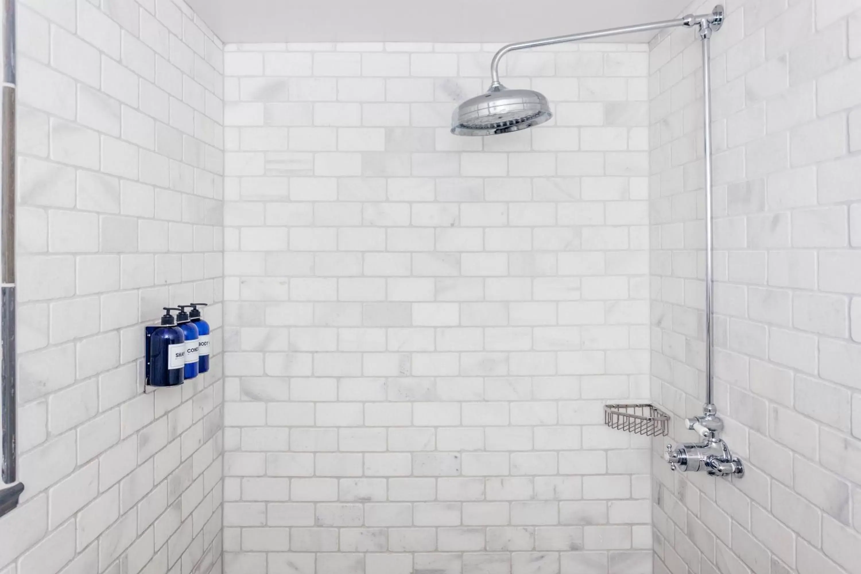 Shower, Bathroom in Argos Inn - Ithaca's Boutique Hotel