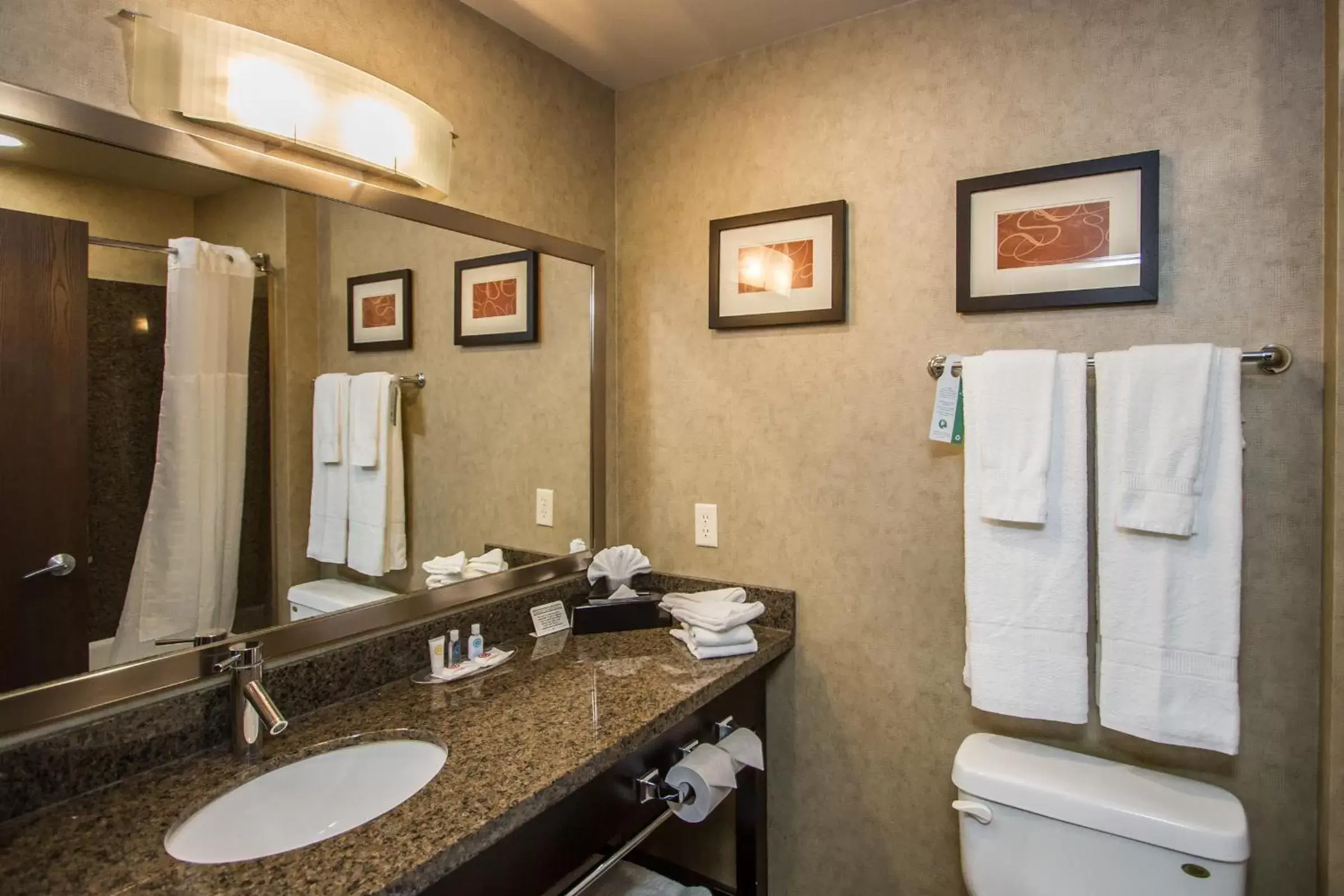 Bathroom in Comfort Suites Kelowna