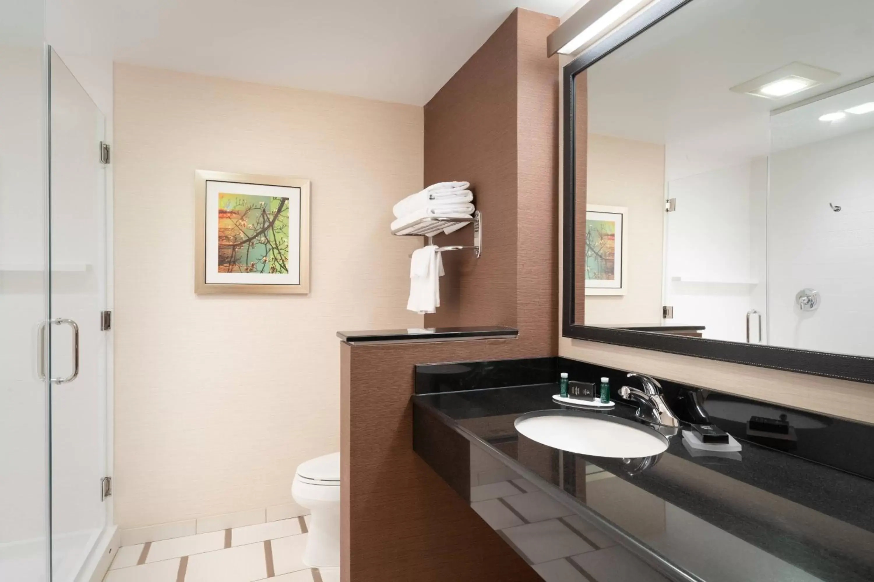 Bathroom in Fairfield Inn & Suites by Marriott DuBois