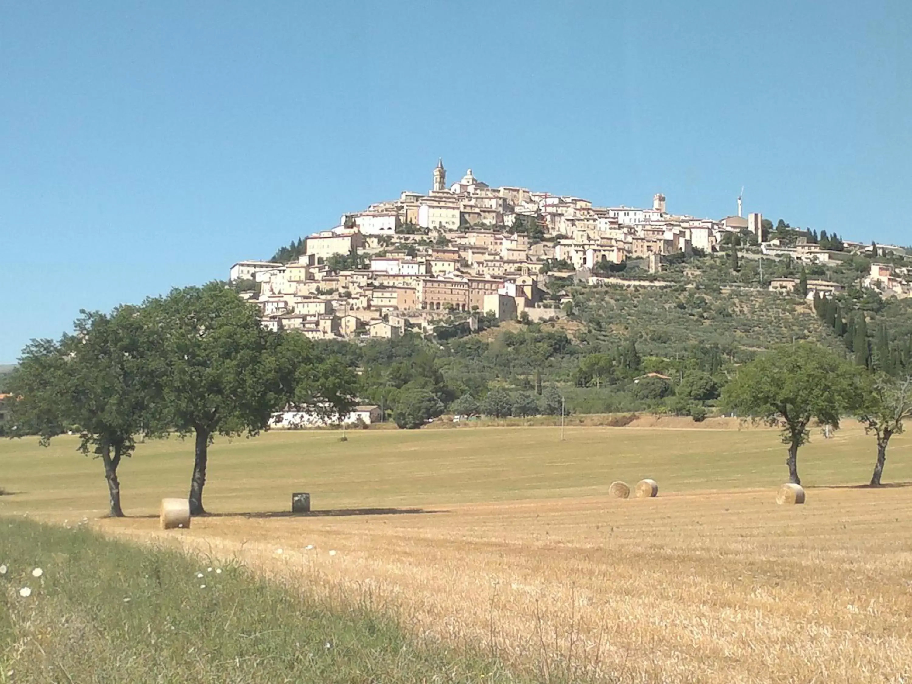 Nearby landmark in Il Borgo Dell'Ulivo