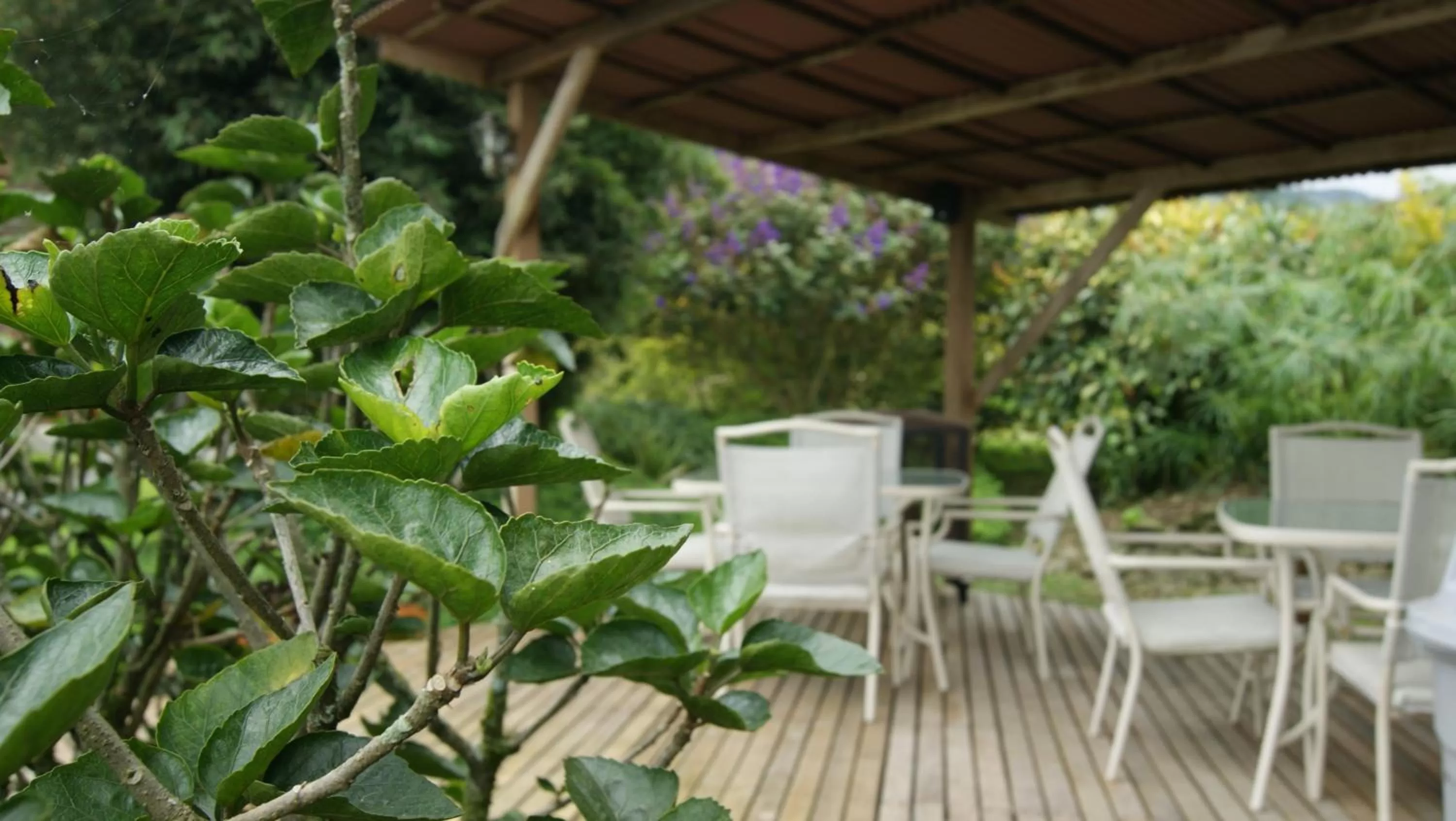 BBQ facilities in Matisses Hotel & Spa