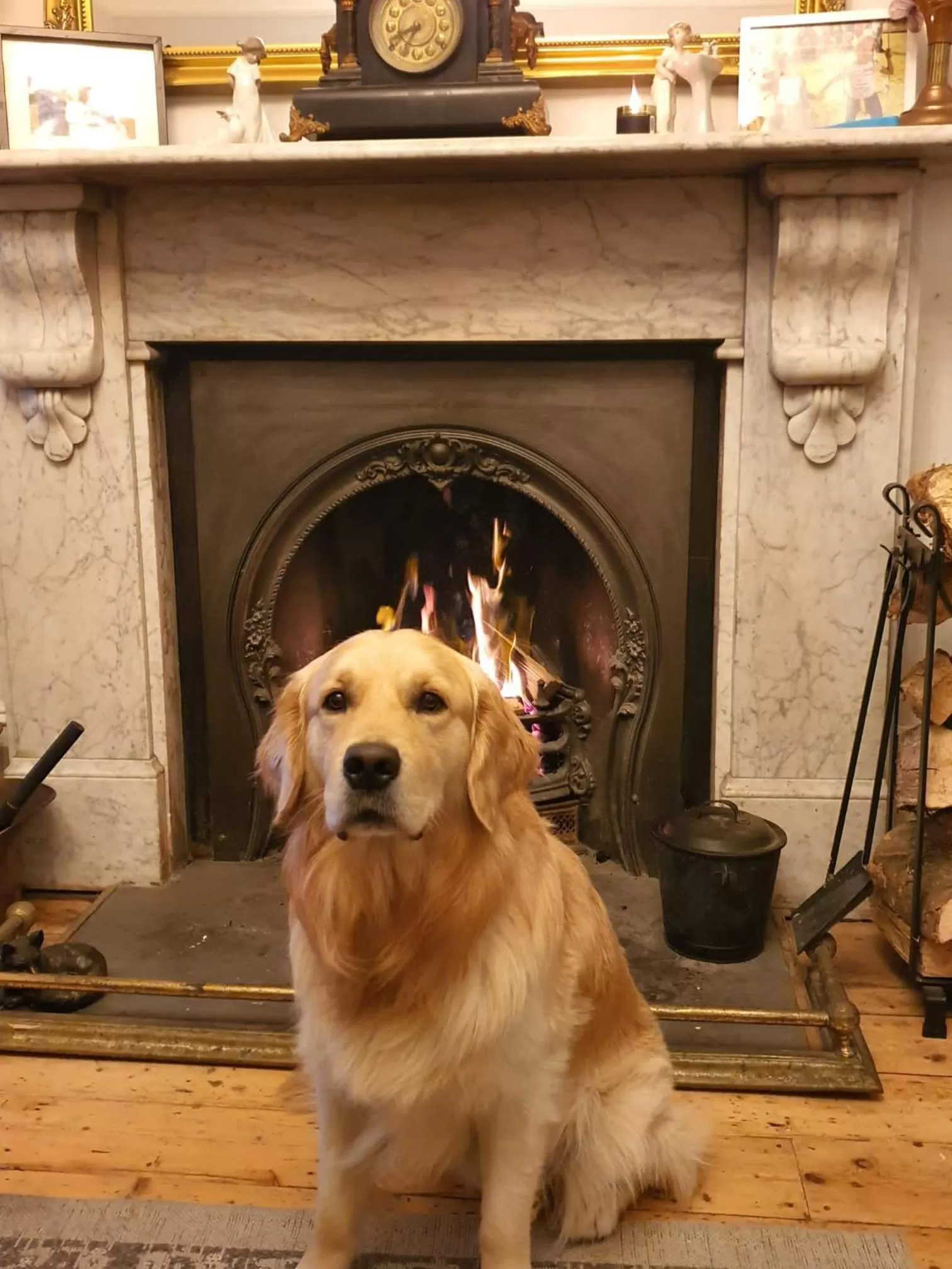 Property building in Holbein House