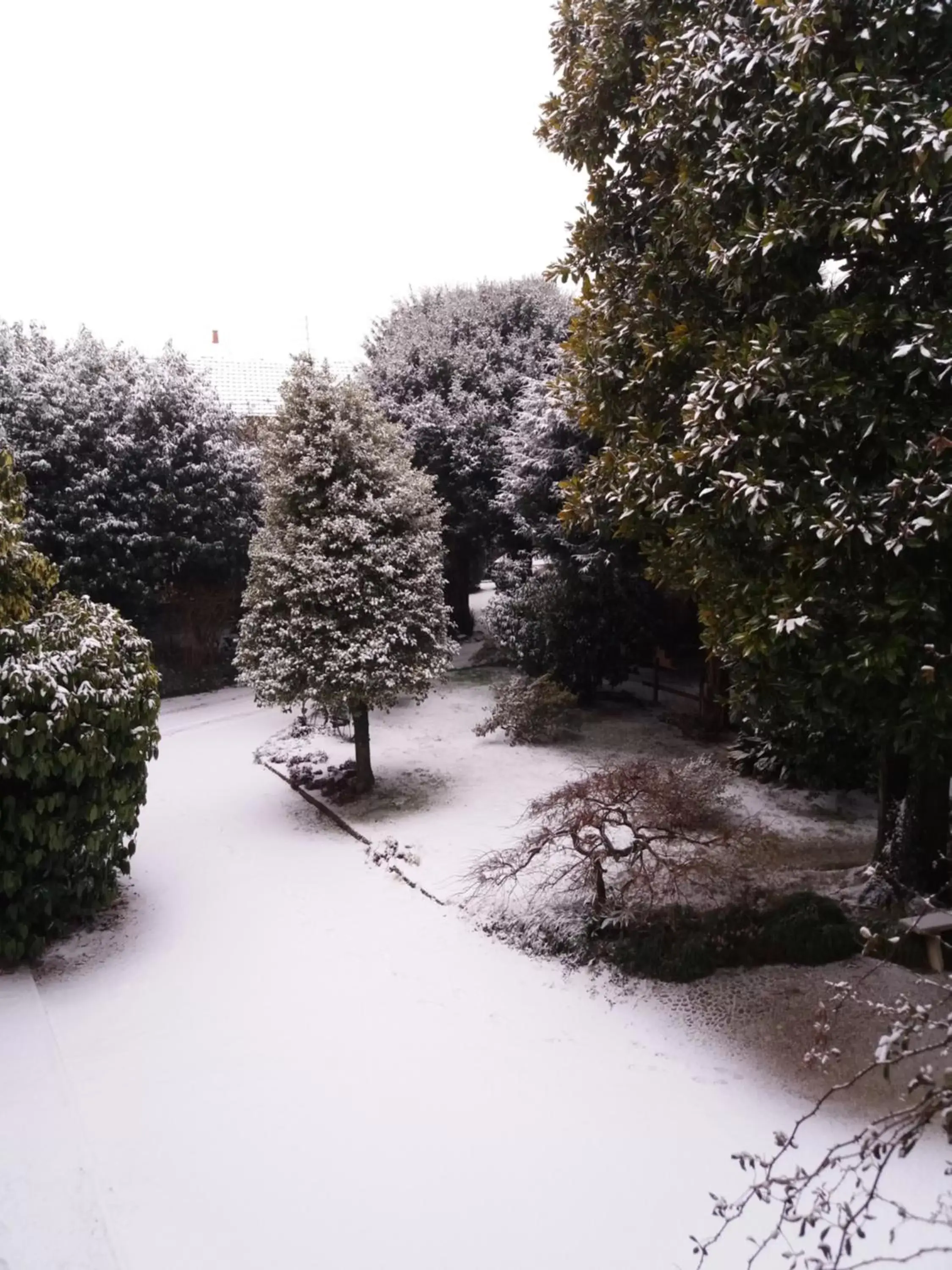 Garden, Winter in B&B il Cortile Malpensa