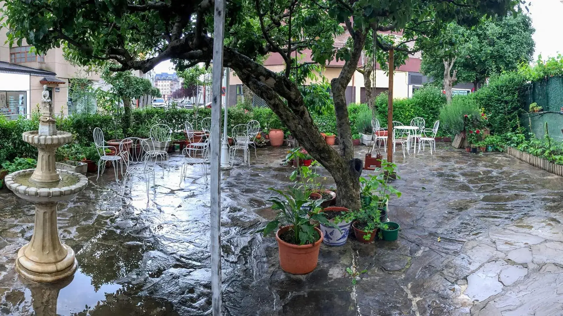 Garden in Hotel A Nieu