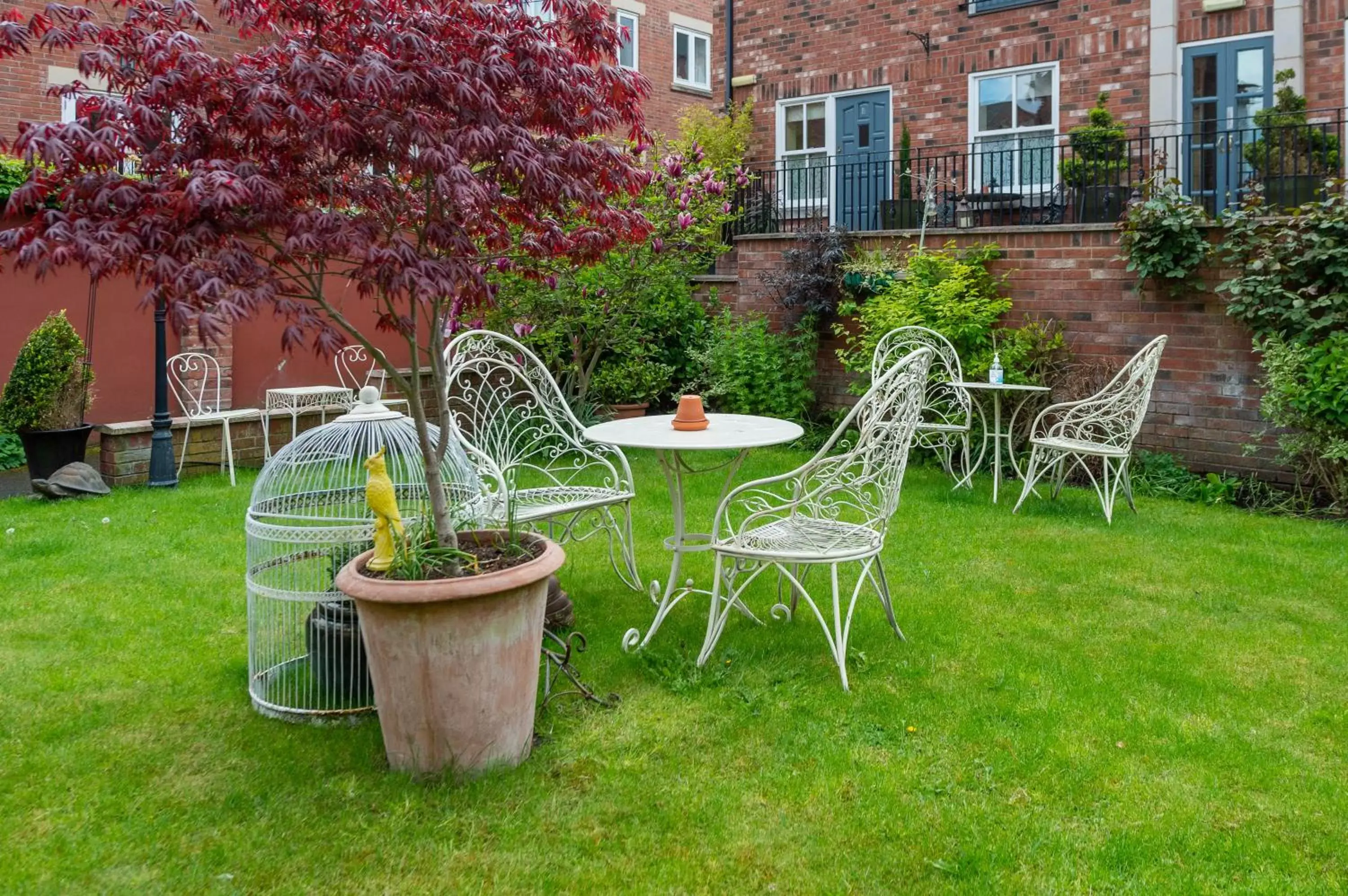 Garden in Darwin's Townhouse