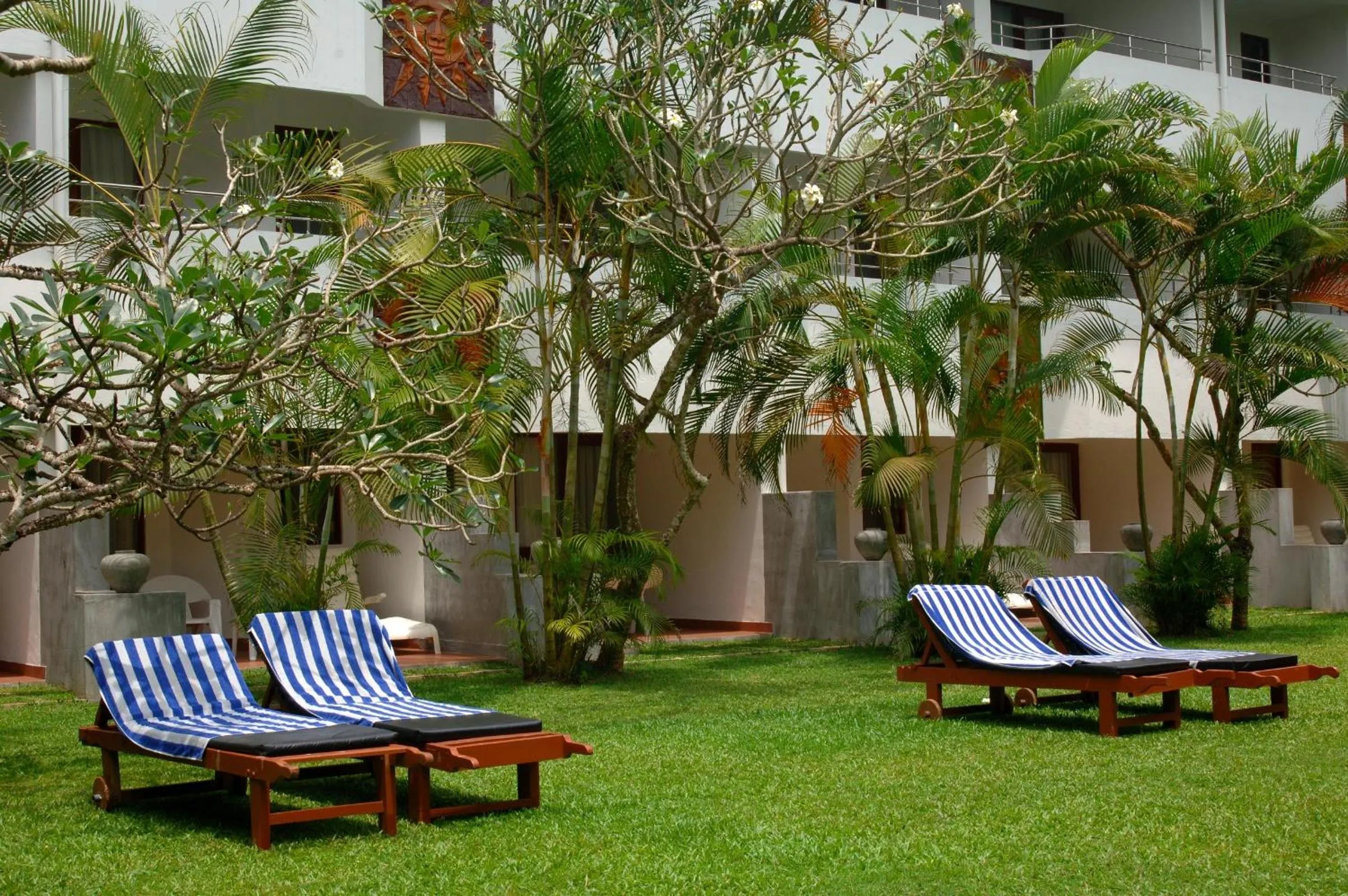 Garden in Tangerine Beach Hotel