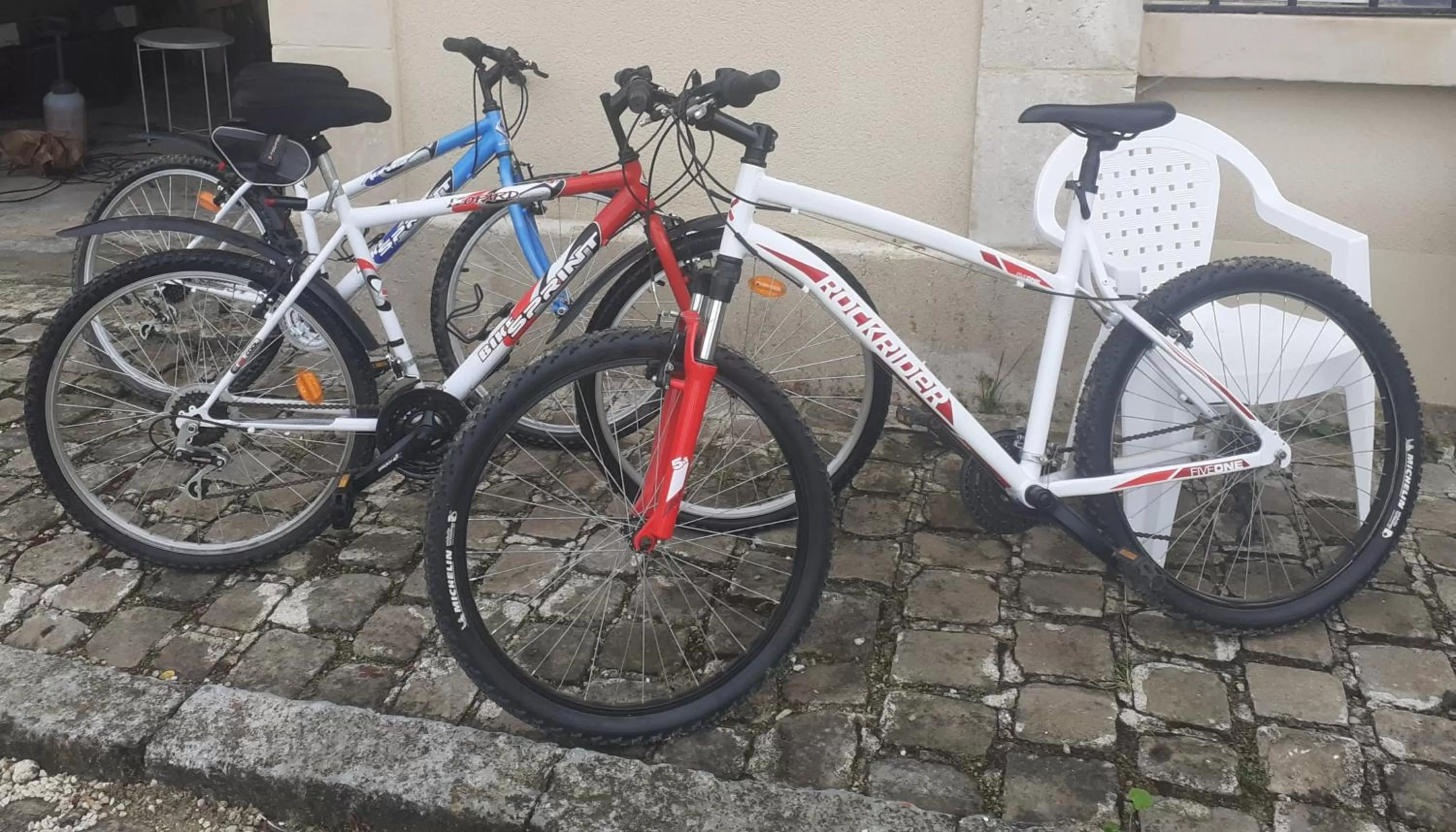 On site, Biking in CHAMBRES D'HOTES DANS DOMAINE DE CHARME A EPERNAY