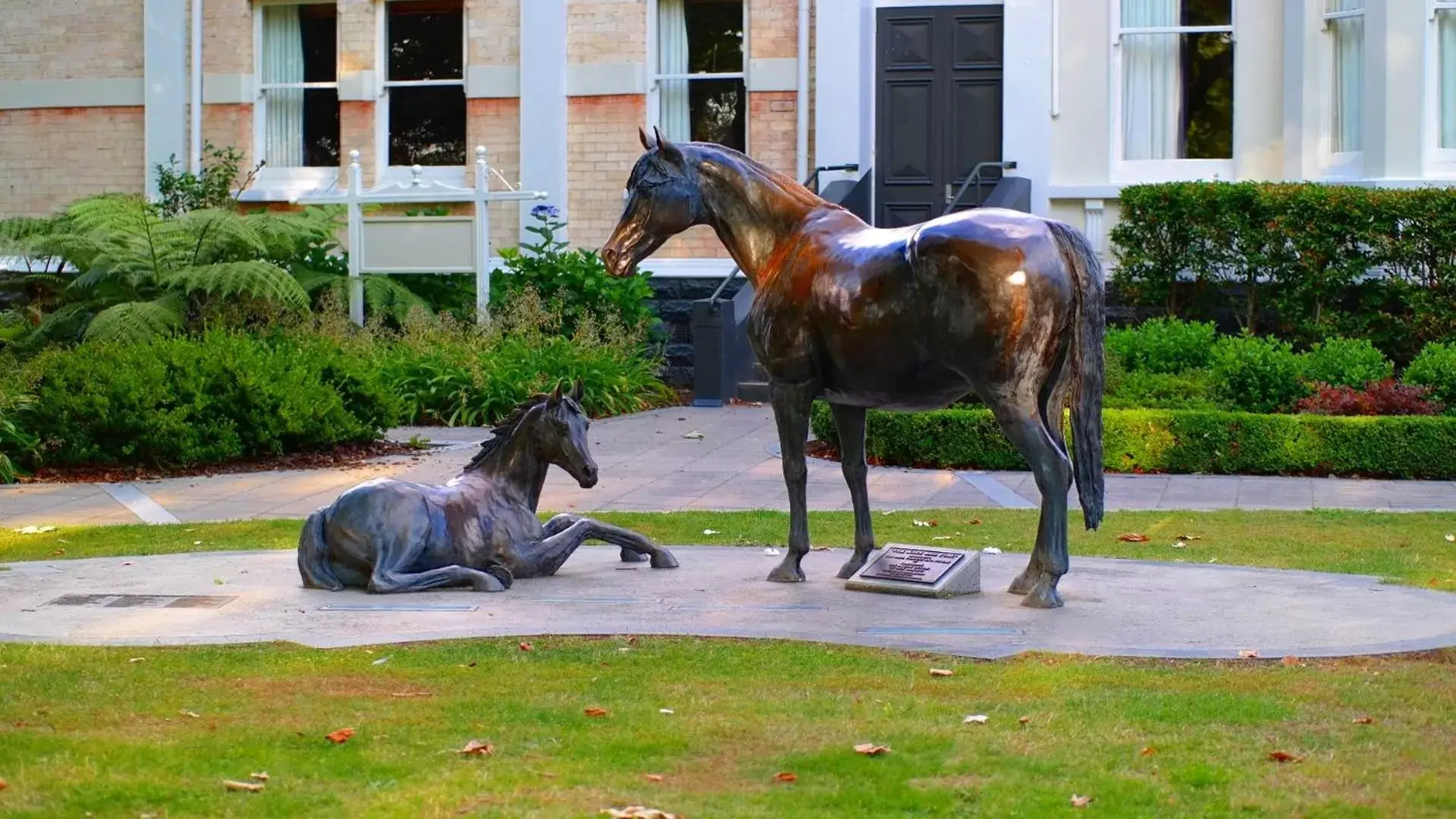 Nearby landmark, Other Animals in Cambridge Mews Motel