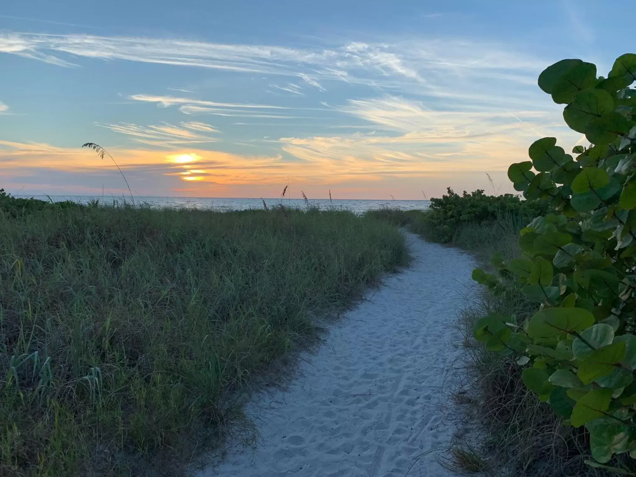 Twin Palms at Siesta