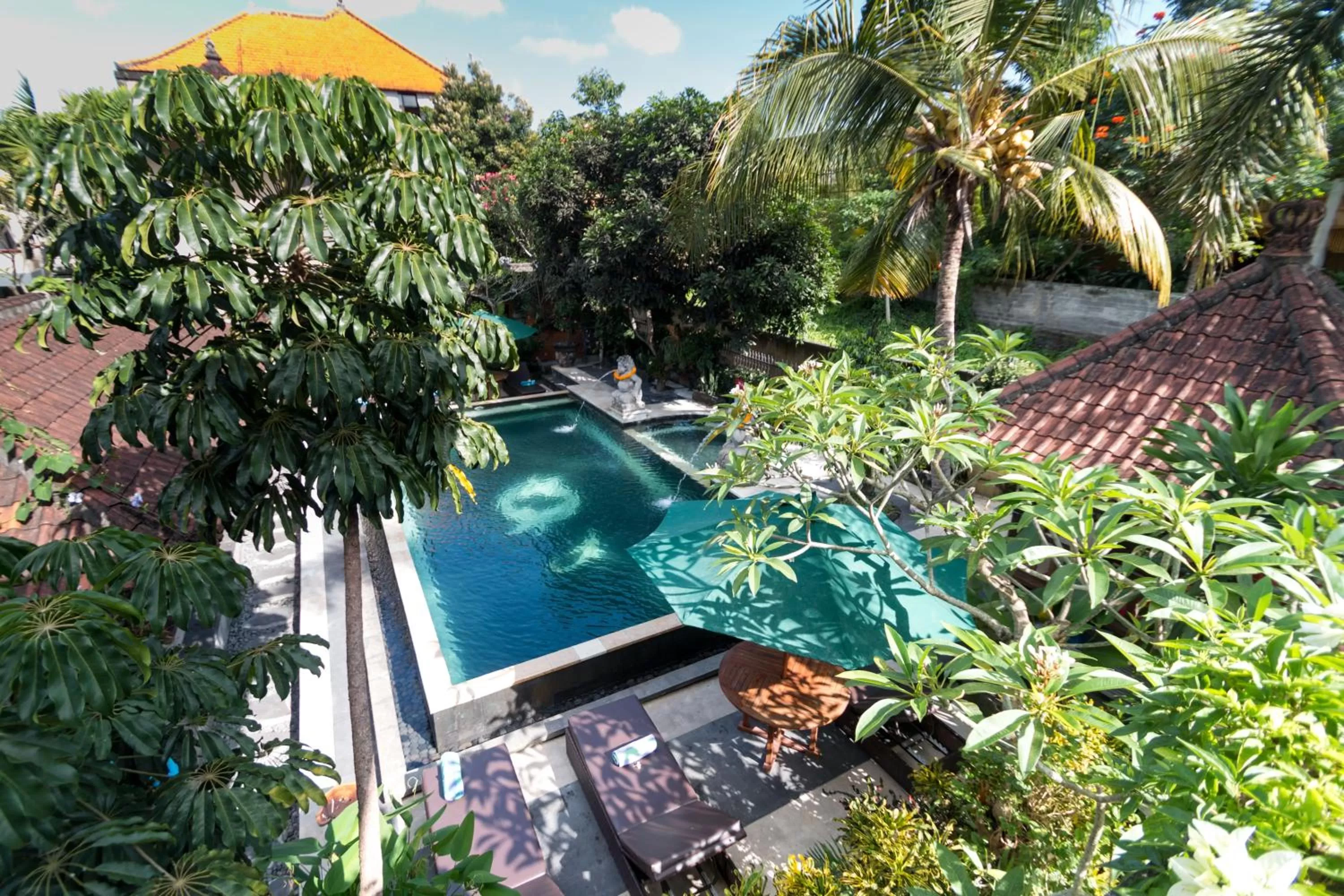 Bird's eye view in Ubud Aura Retreat