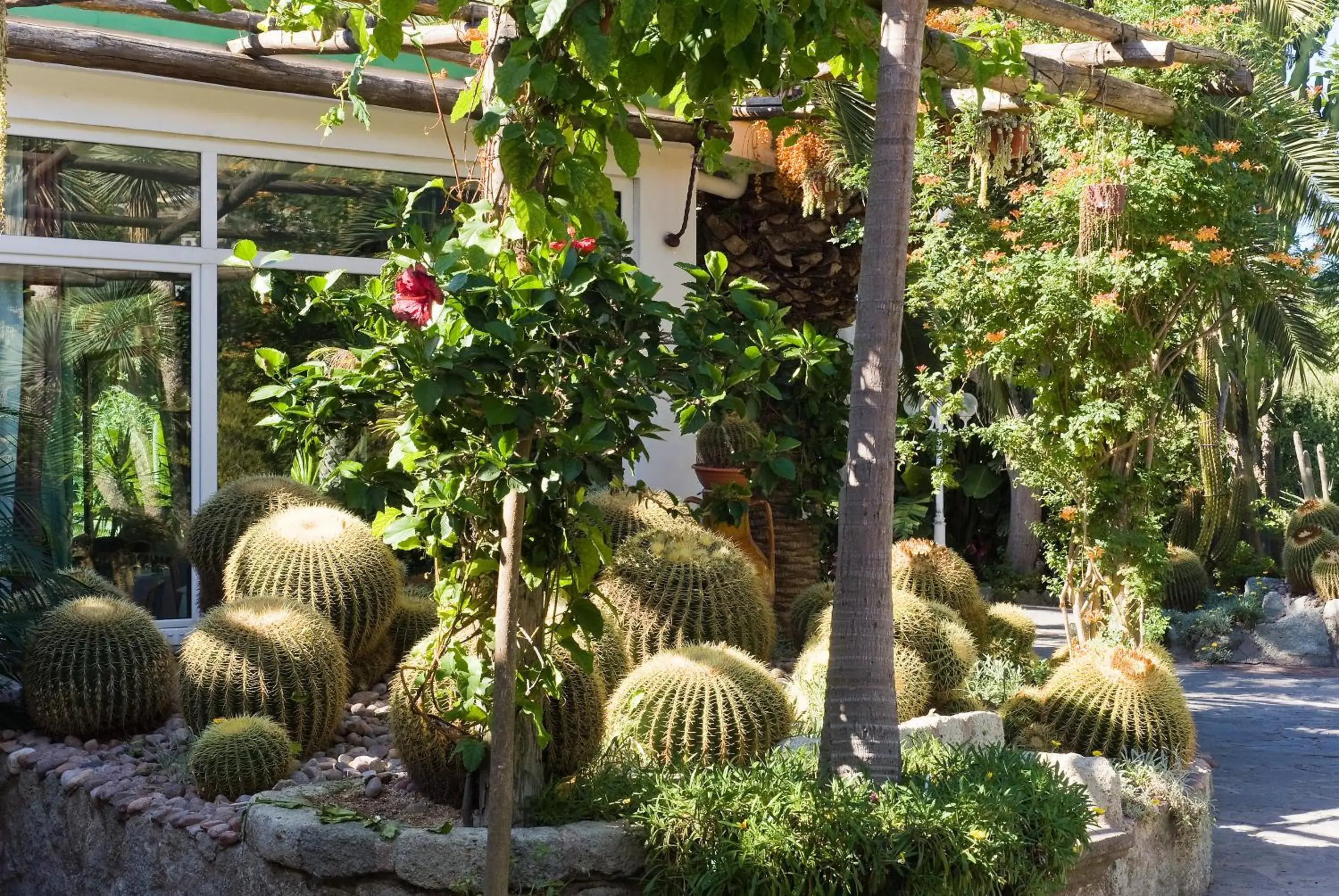 Garden in Park Hotel Terme Mediterraneo