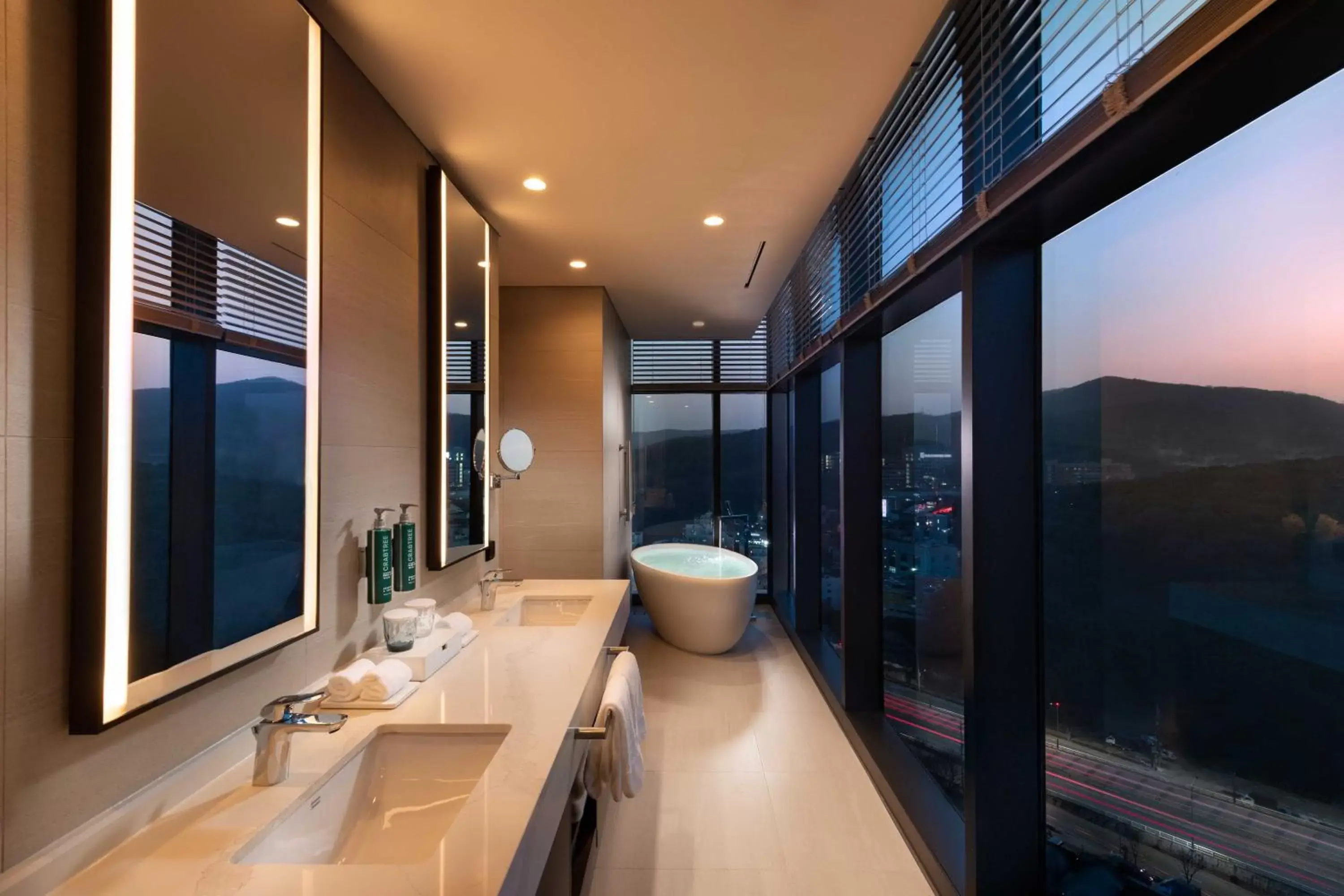 View (from property/room), Bathroom in DoubleTree By Hilton Seoul Pangyo