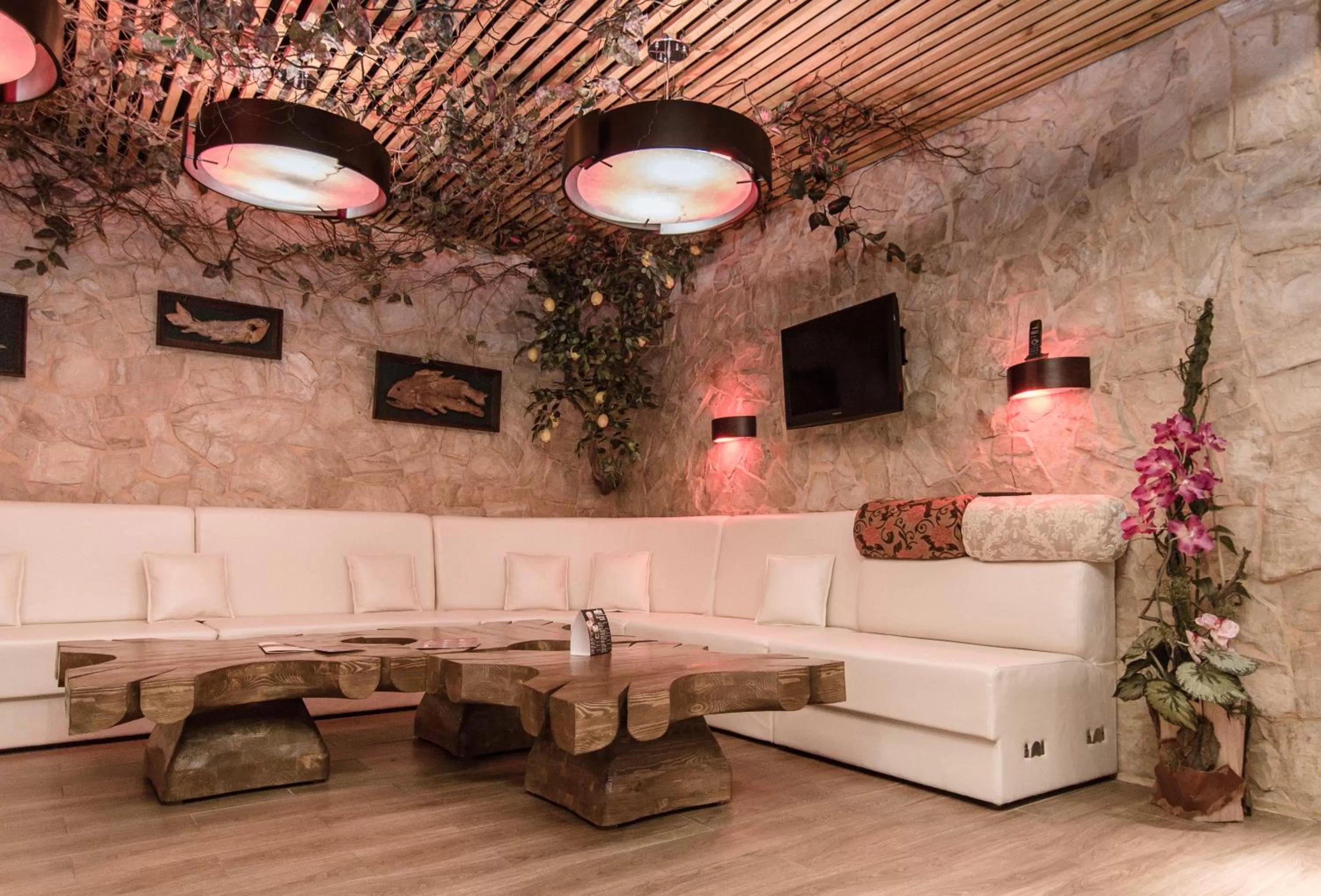 Photo of the whole room in Boutique Hotel California