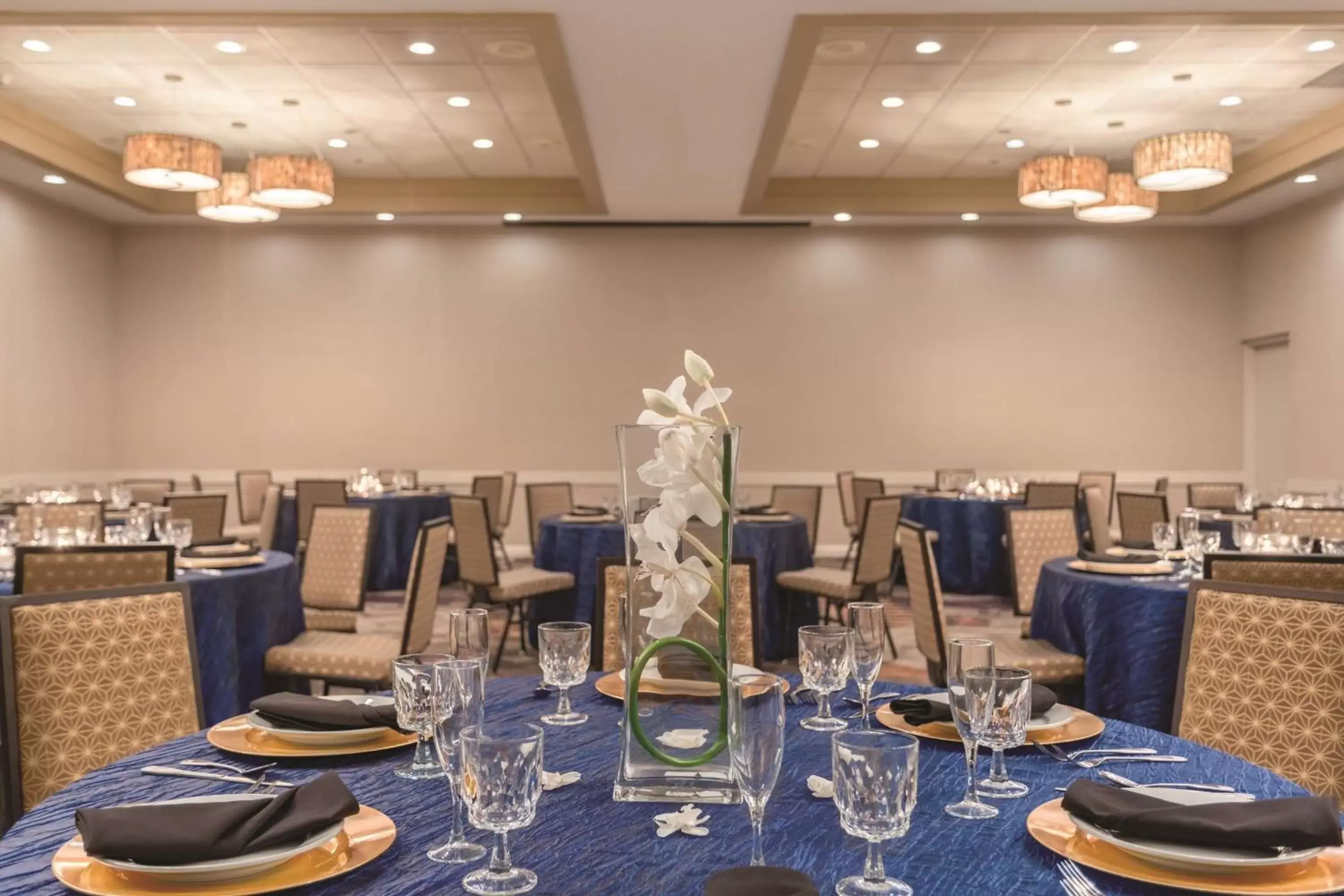 Meeting/conference room, Restaurant/Places to Eat in Embassy Suites by Hilton Orlando International Drive ICON Park