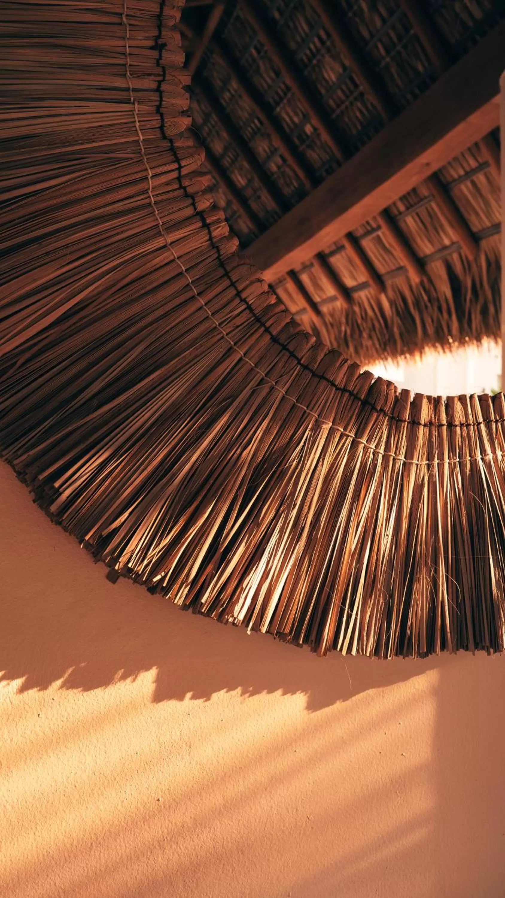 Property building in Casa Kuaa