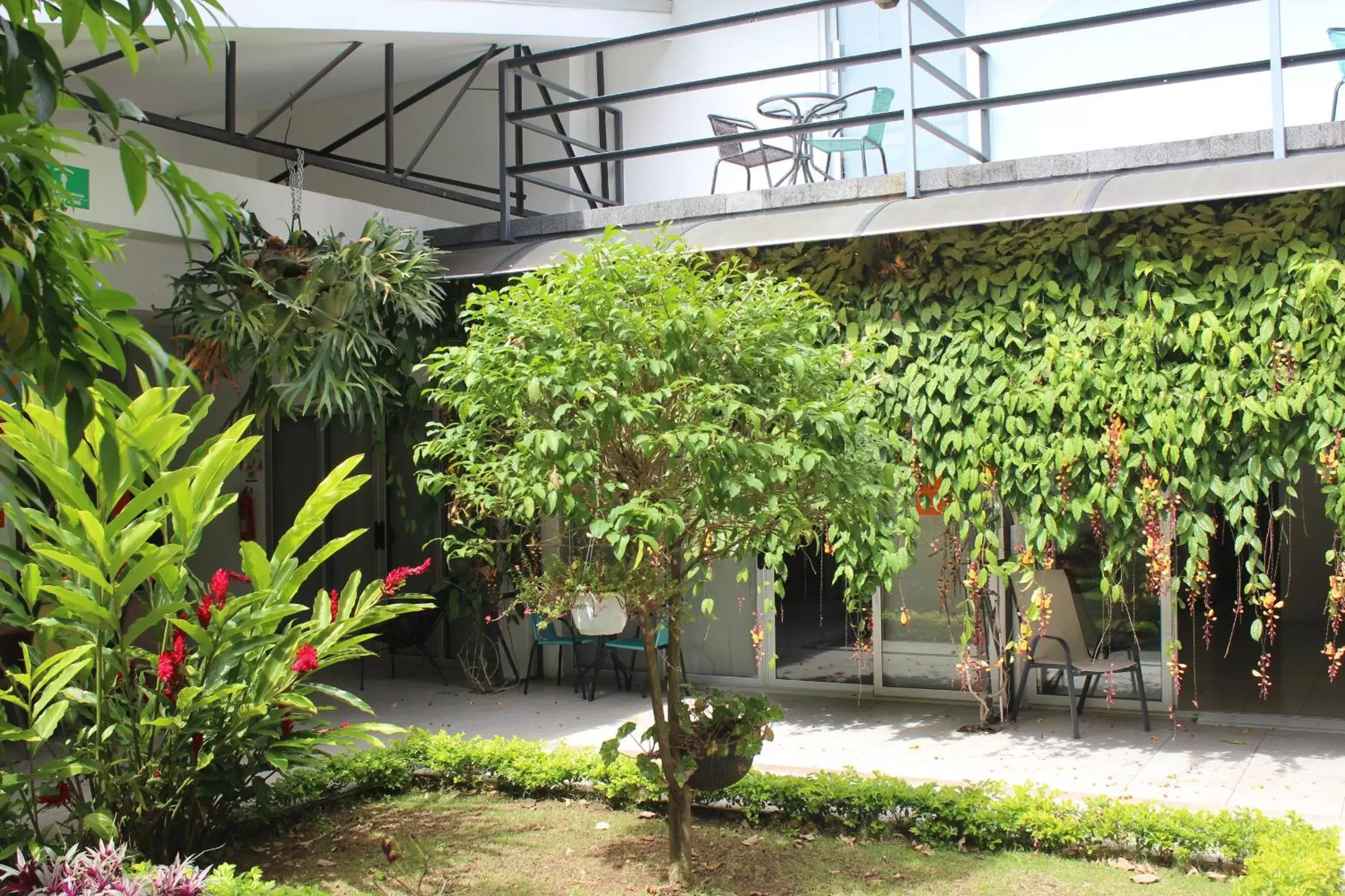 Garden in Cando Living Apartments in Central Avenue