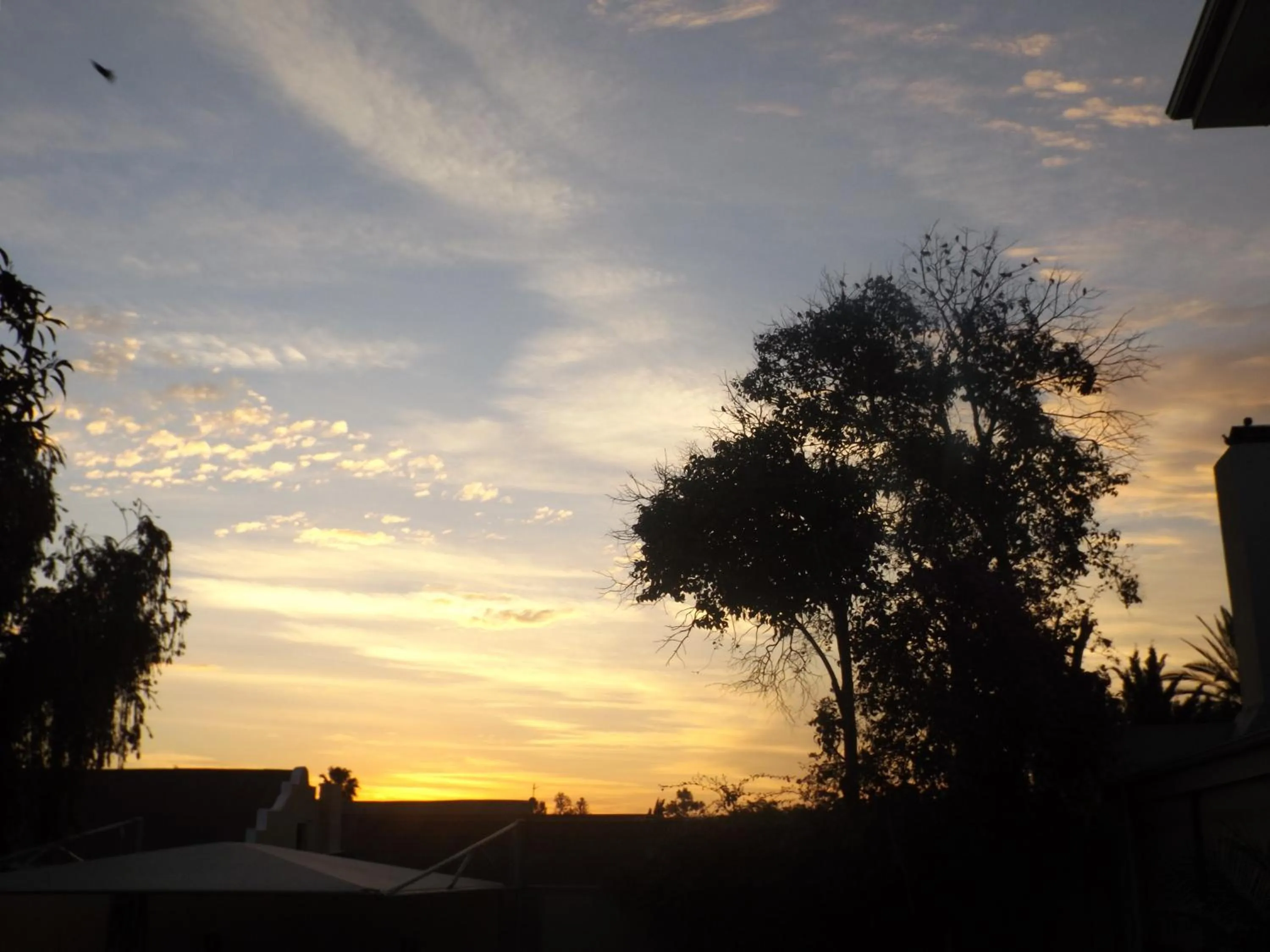 Garden in Turnberry Boutique Hotel