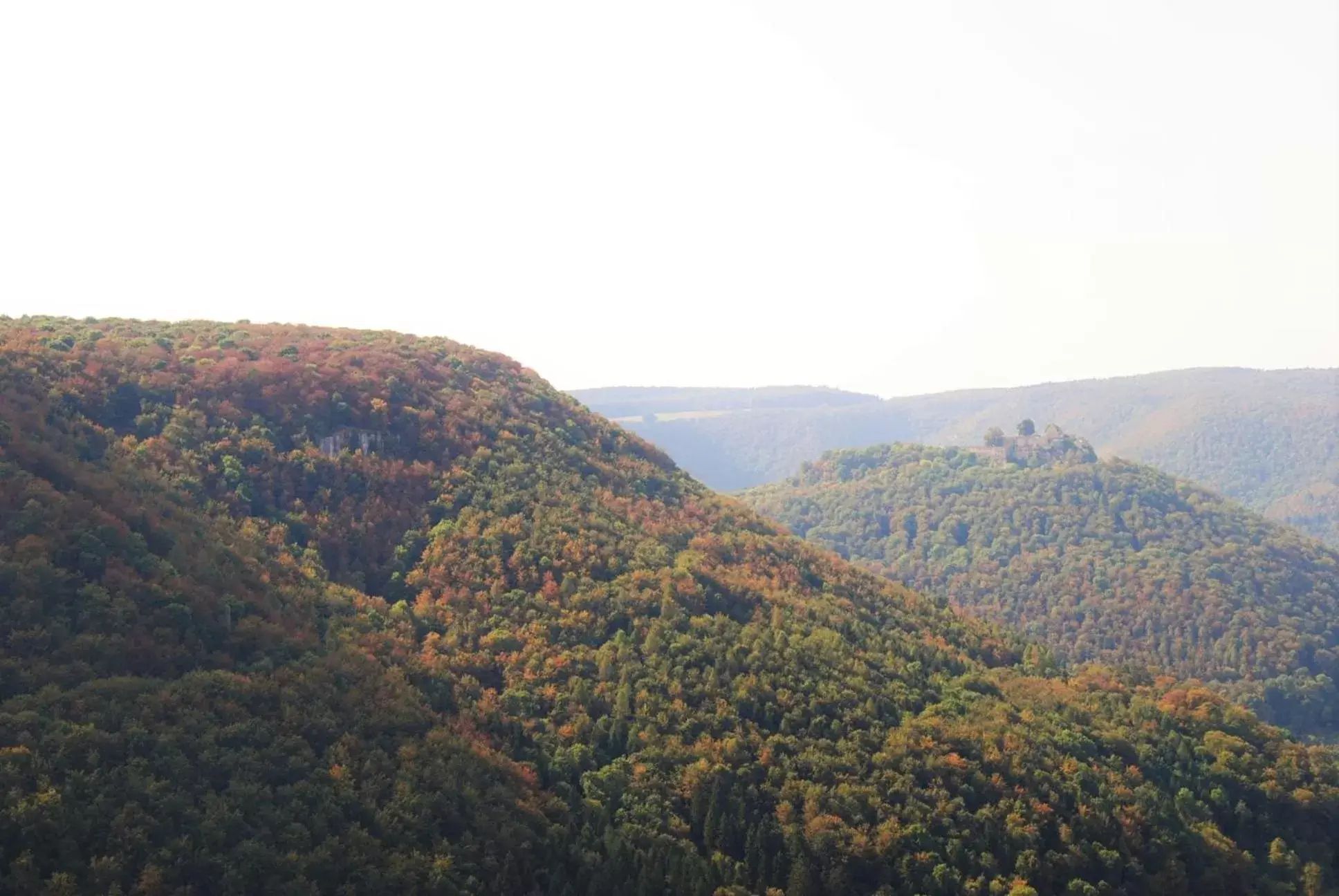 Autumn in Hotel Graf Eberhard