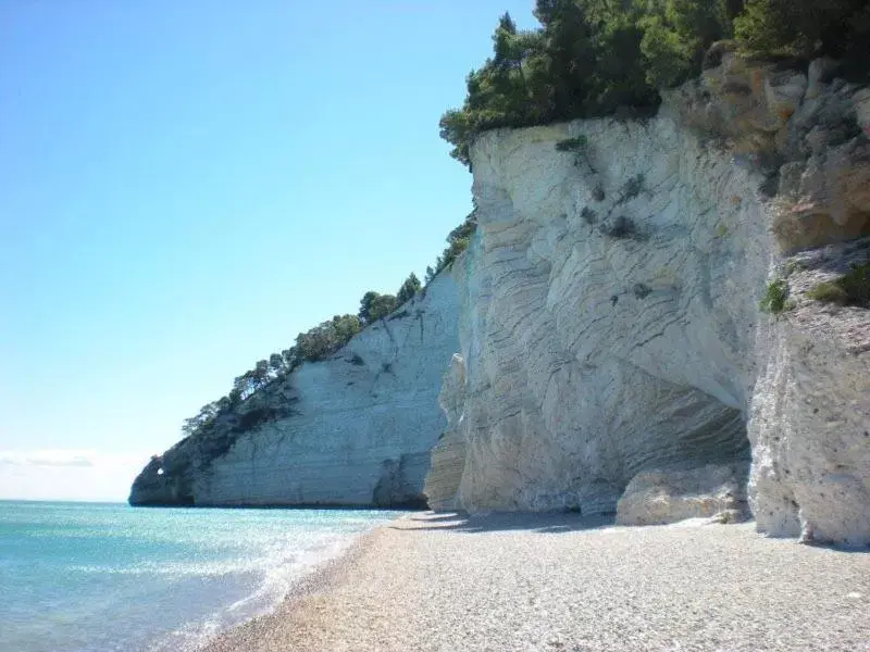 Beach in D'Aleammare - Rooms