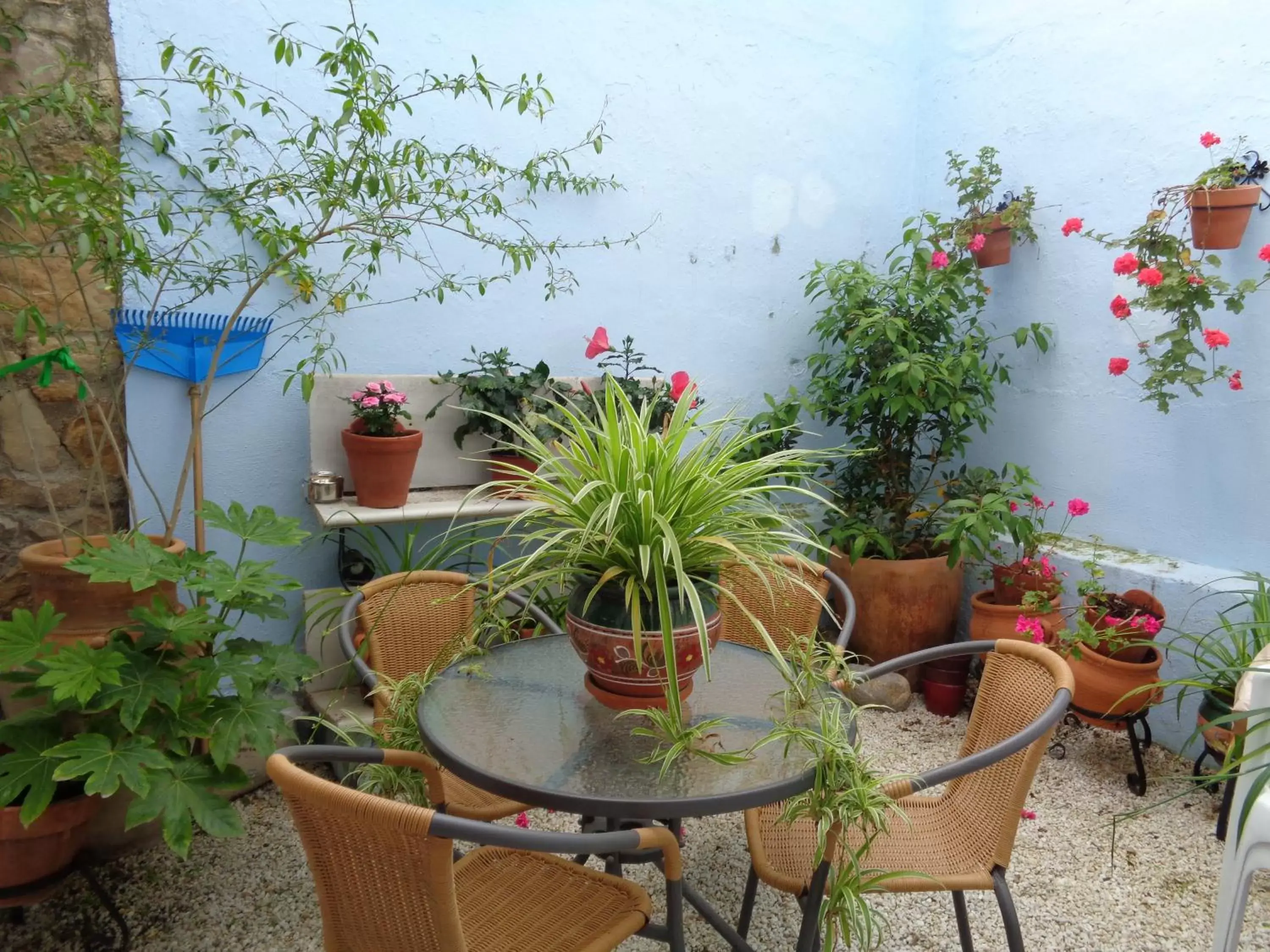 Patio, Patio/Outdoor Area in Hotel Boutique Nueve Leyendas