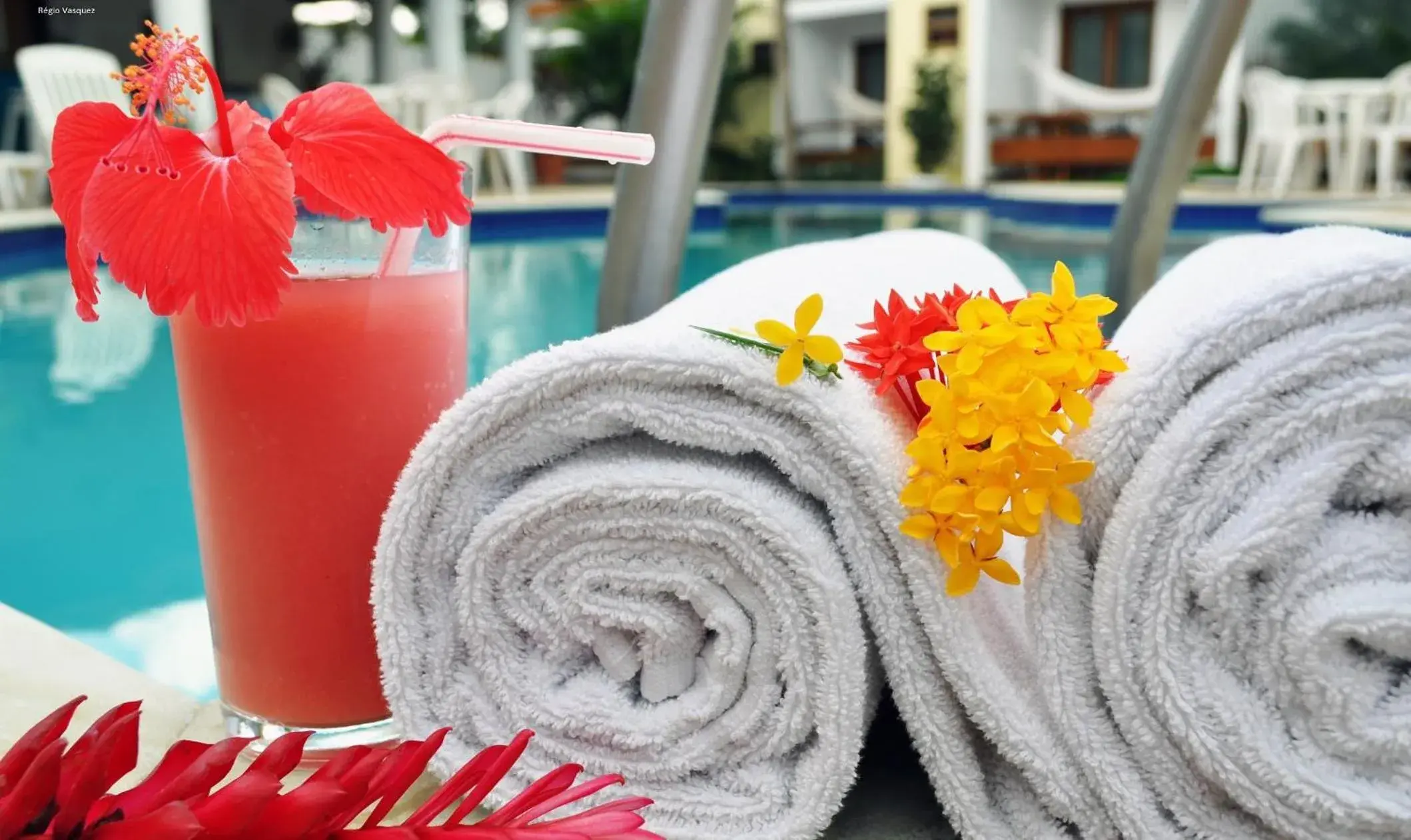 Decorative detail, Swimming Pool in Oceano Porto Hotel