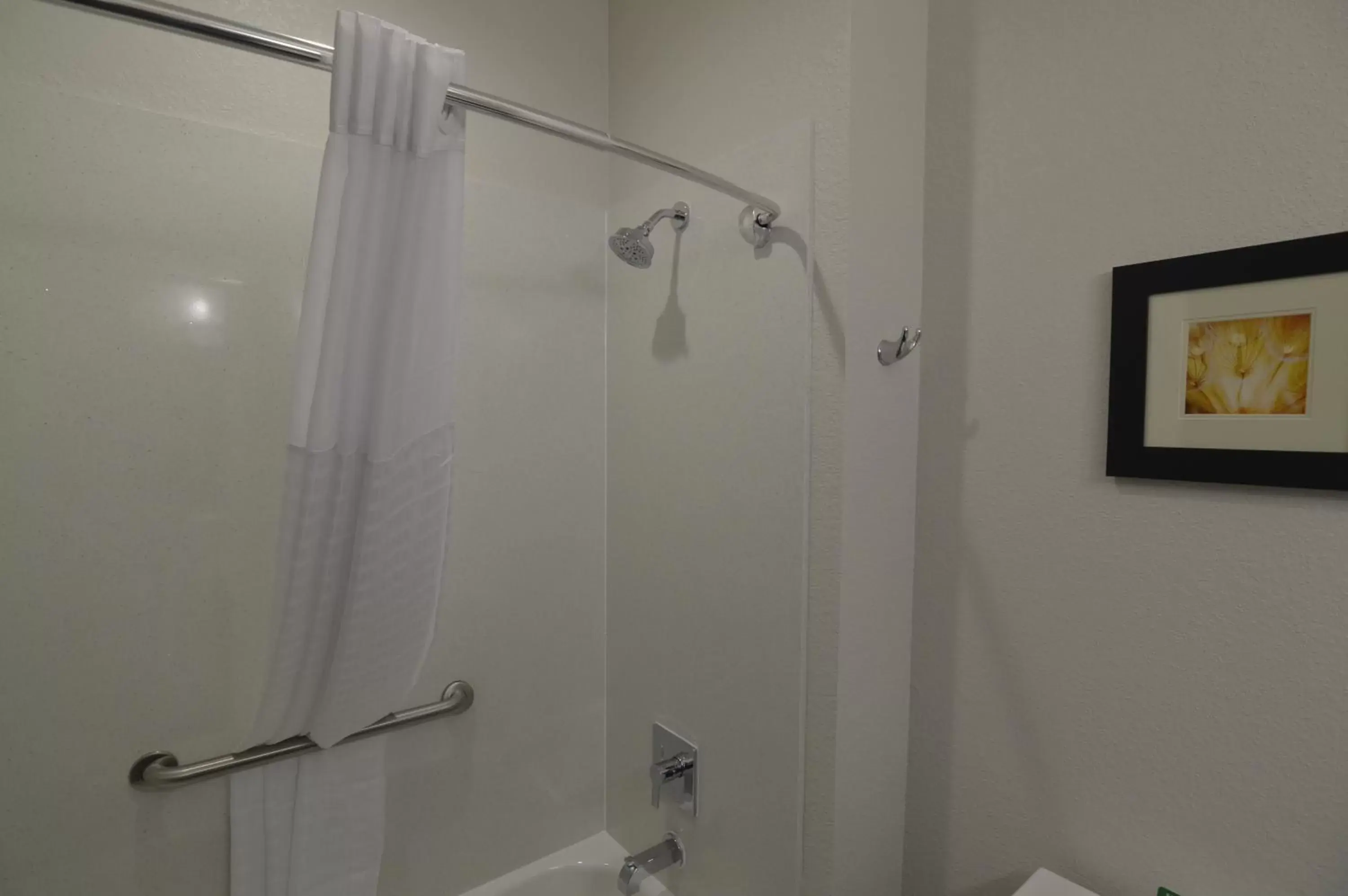 Shower, Bathroom in Best Western Plus Waller Hotel