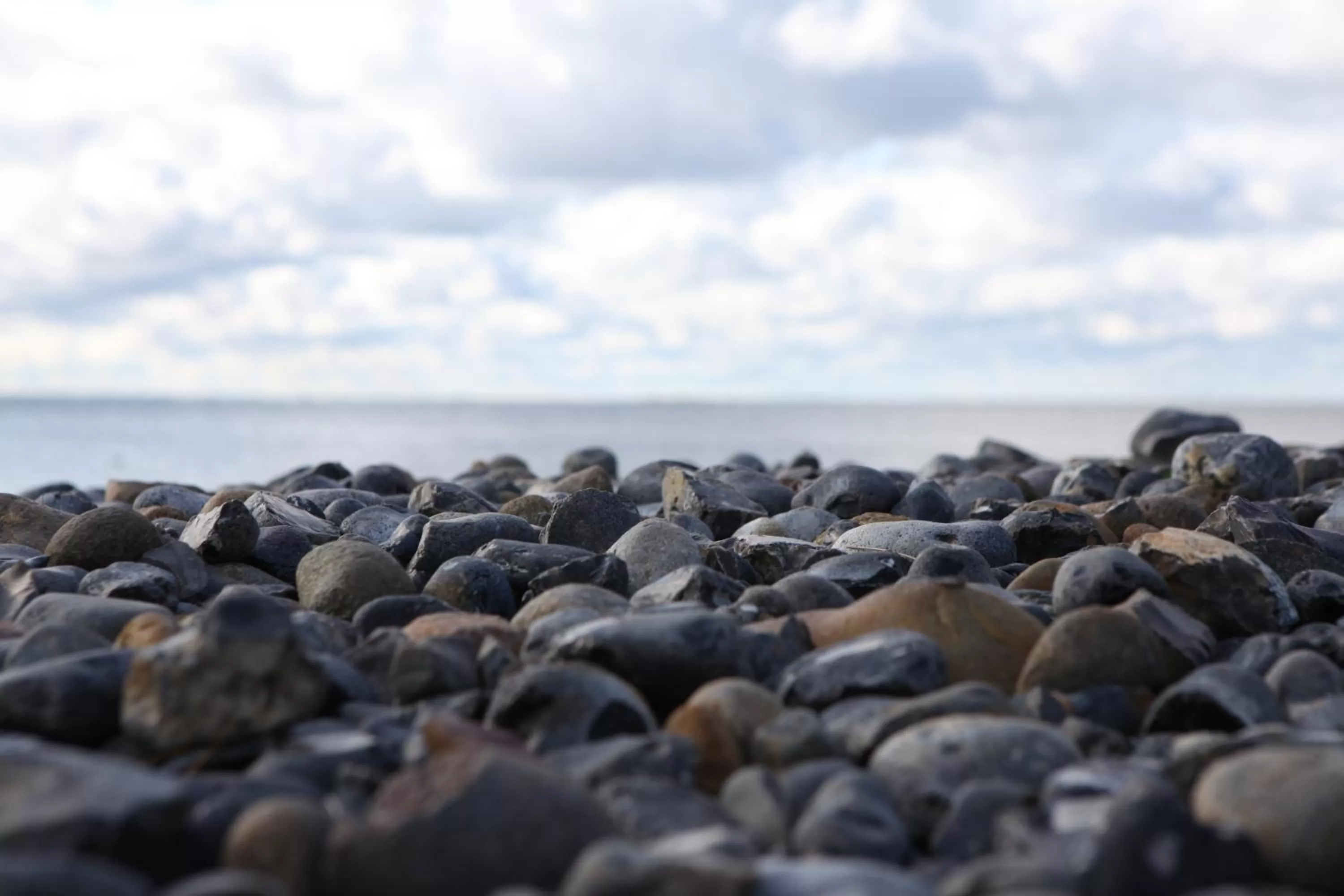 Area and facilities in Kurhotel Sassnitz