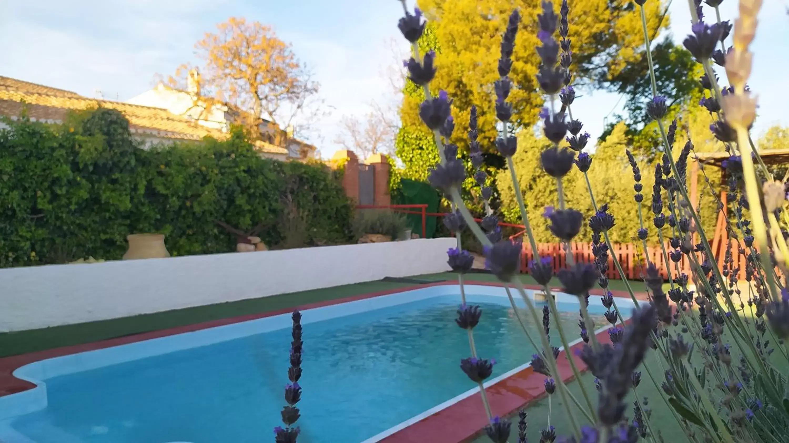 Swimming Pool in Cortijo Molino los Justos