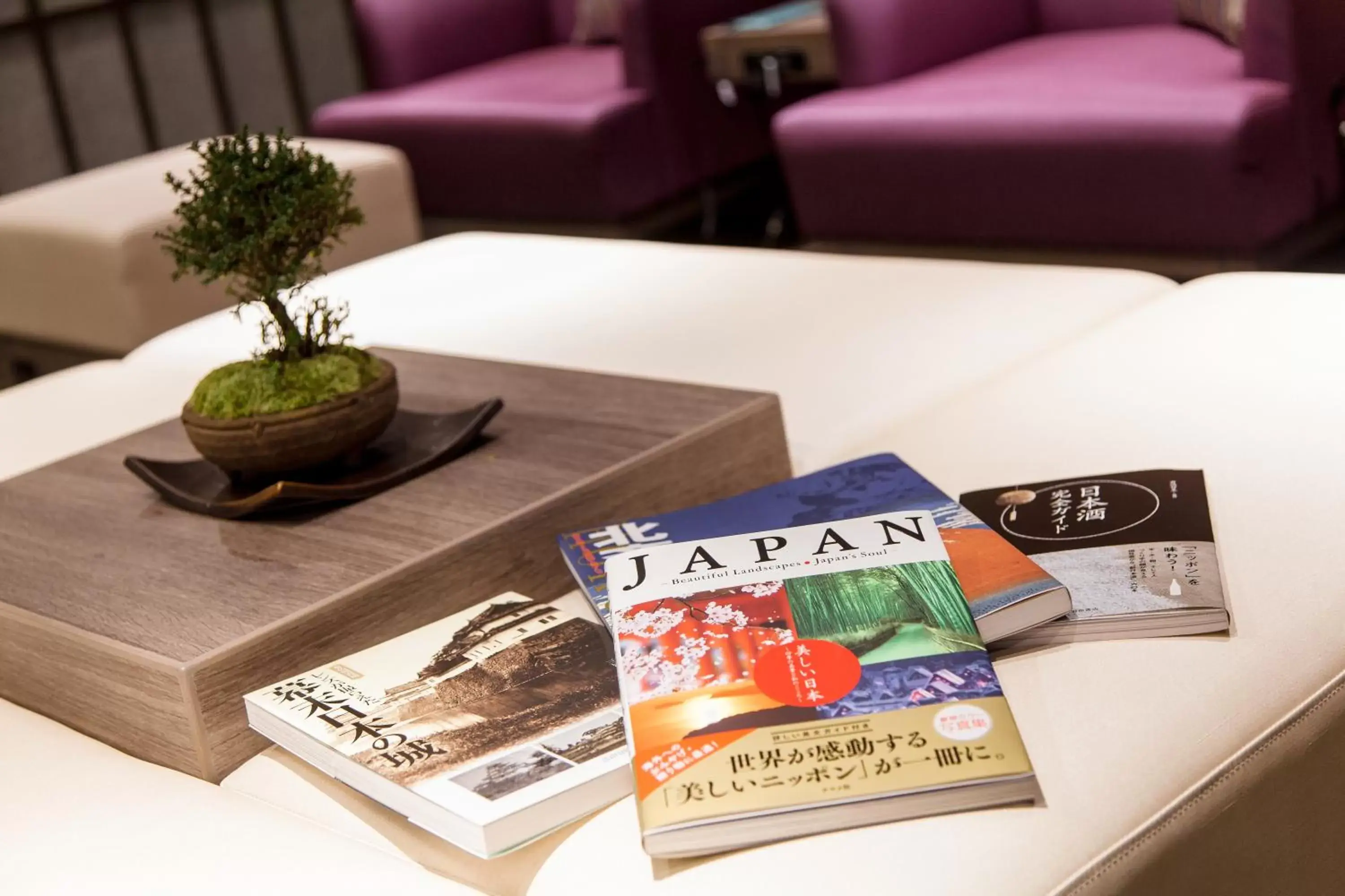 Communal lounge/ TV room in HOTEL MYSTAYS PREMIER Kanazawa