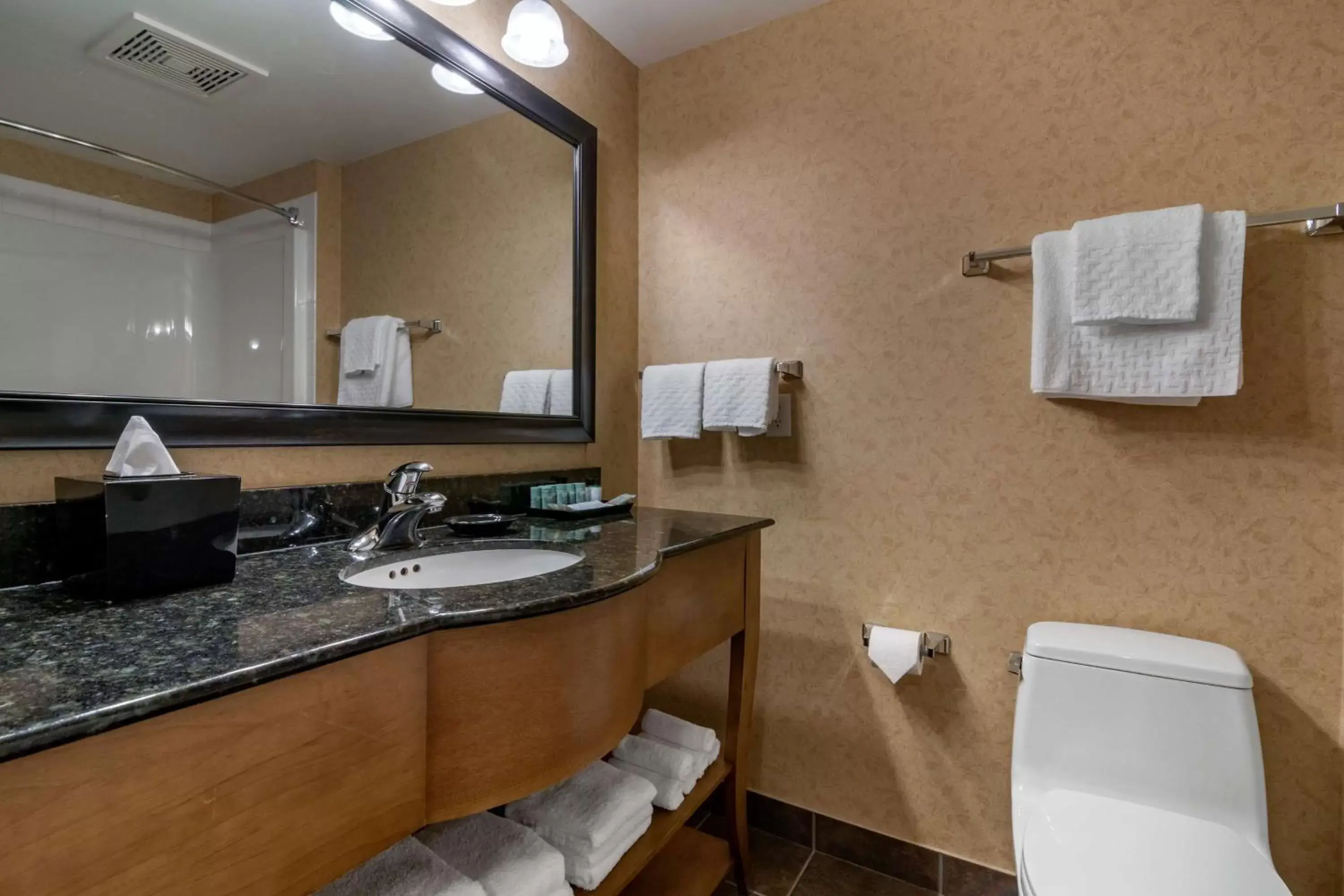 Bathroom in Best Western Sicamous Inn