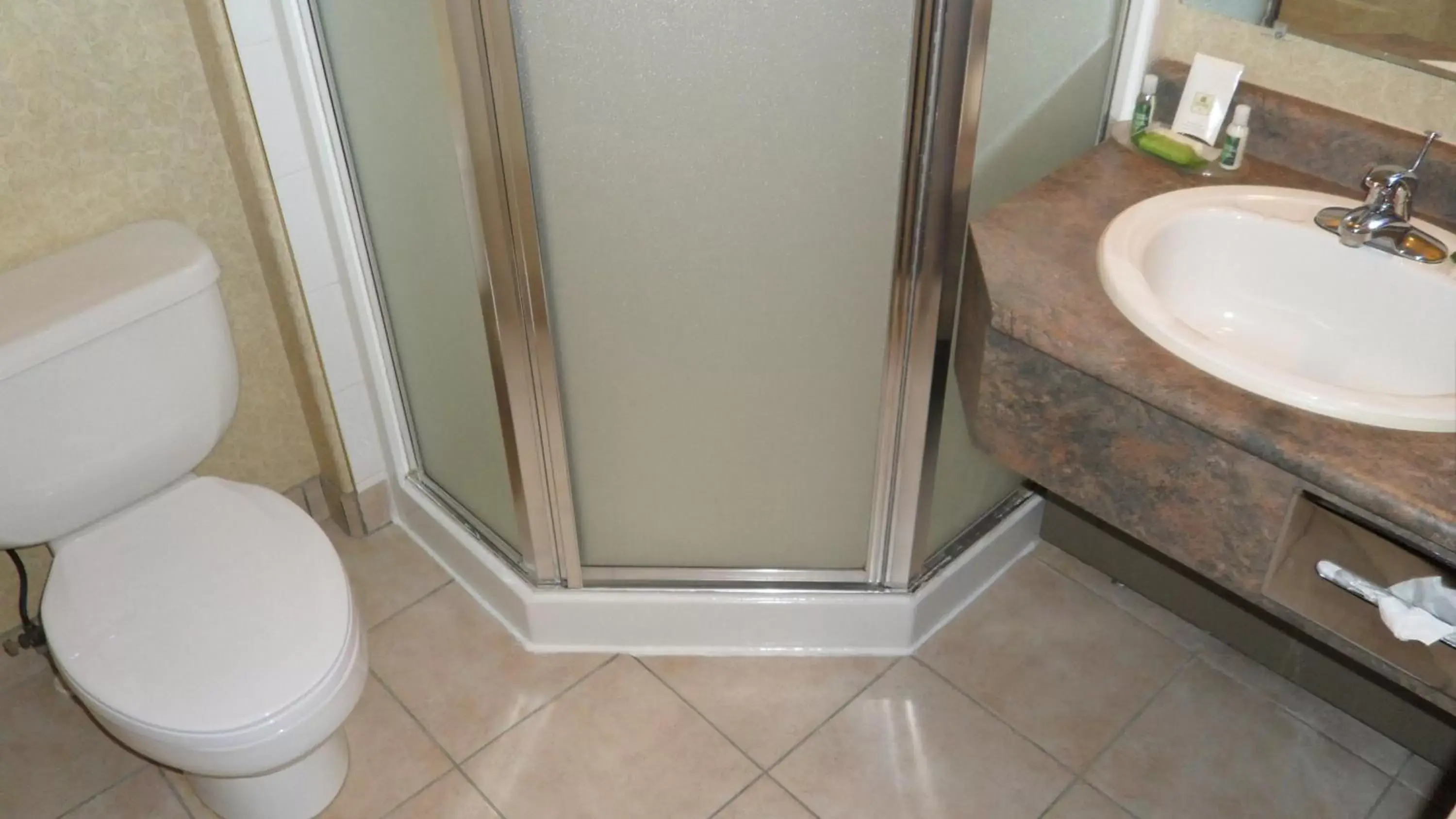 Shower, Bathroom in Lakeview Inns & Suites - Hinton