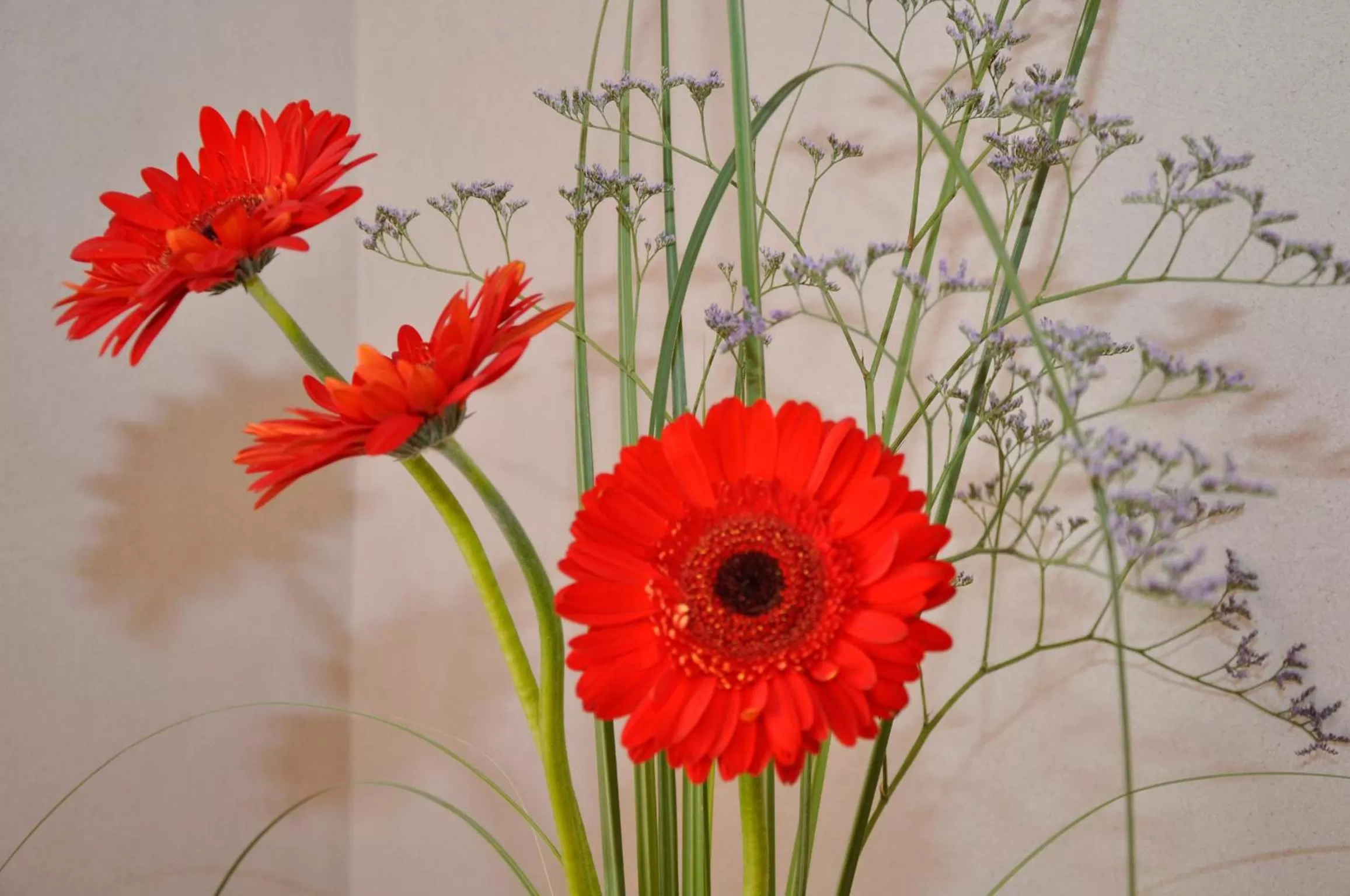 Decorative detail in Petit Recoleta Suites