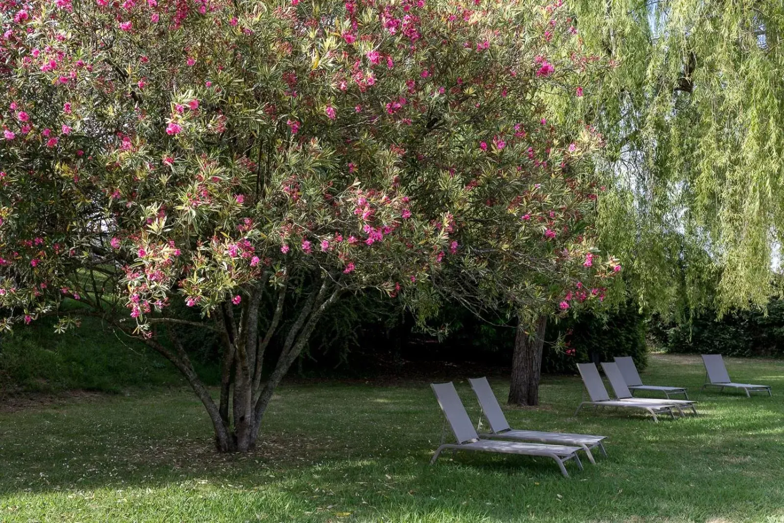 Off site, Garden in Parador de Tui