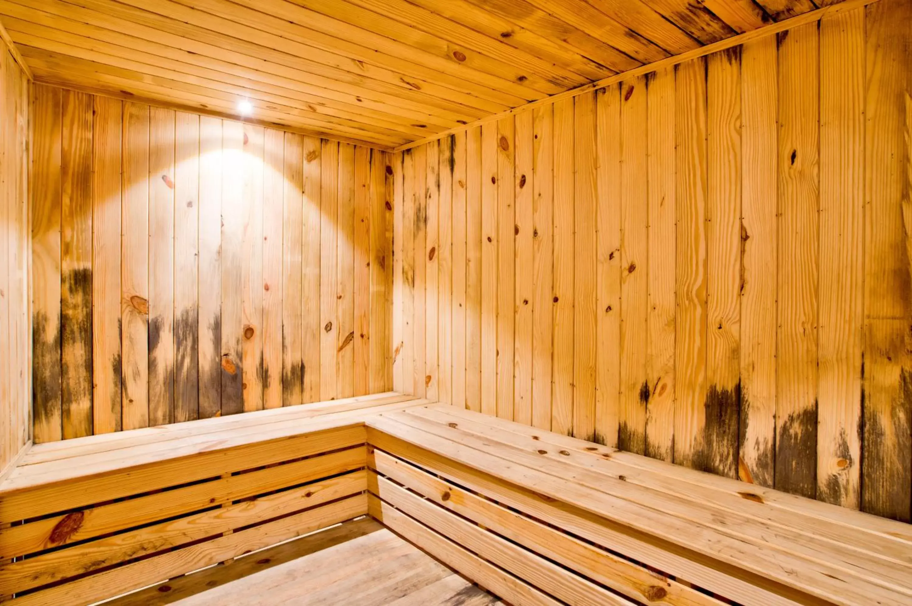 Sauna in Summit Ttakshang Residency Hotel & Spa