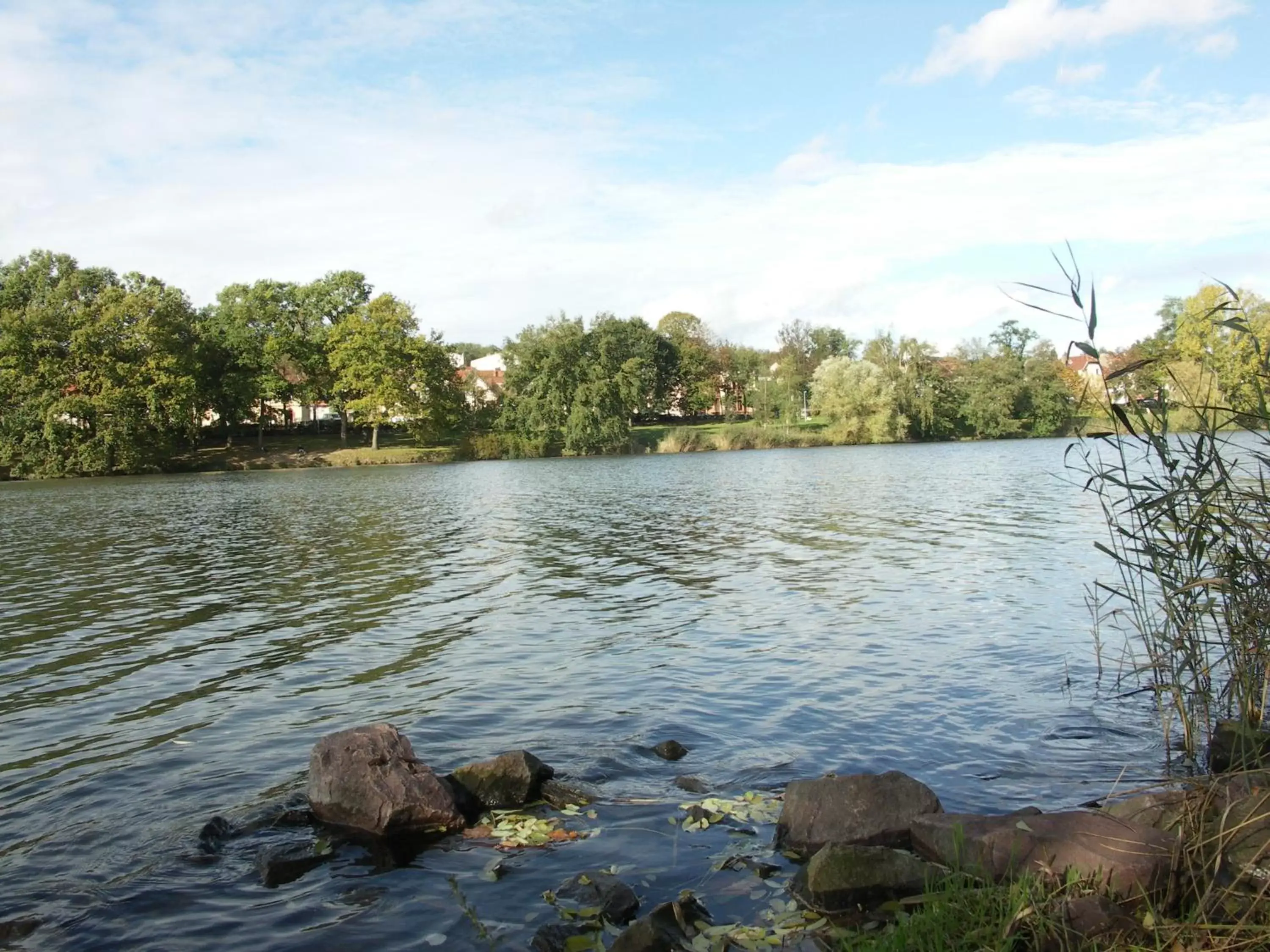 Natural landscape in The Originals City, Hôtel Aster, Saint-Avold Nord (Inter-Hotel)